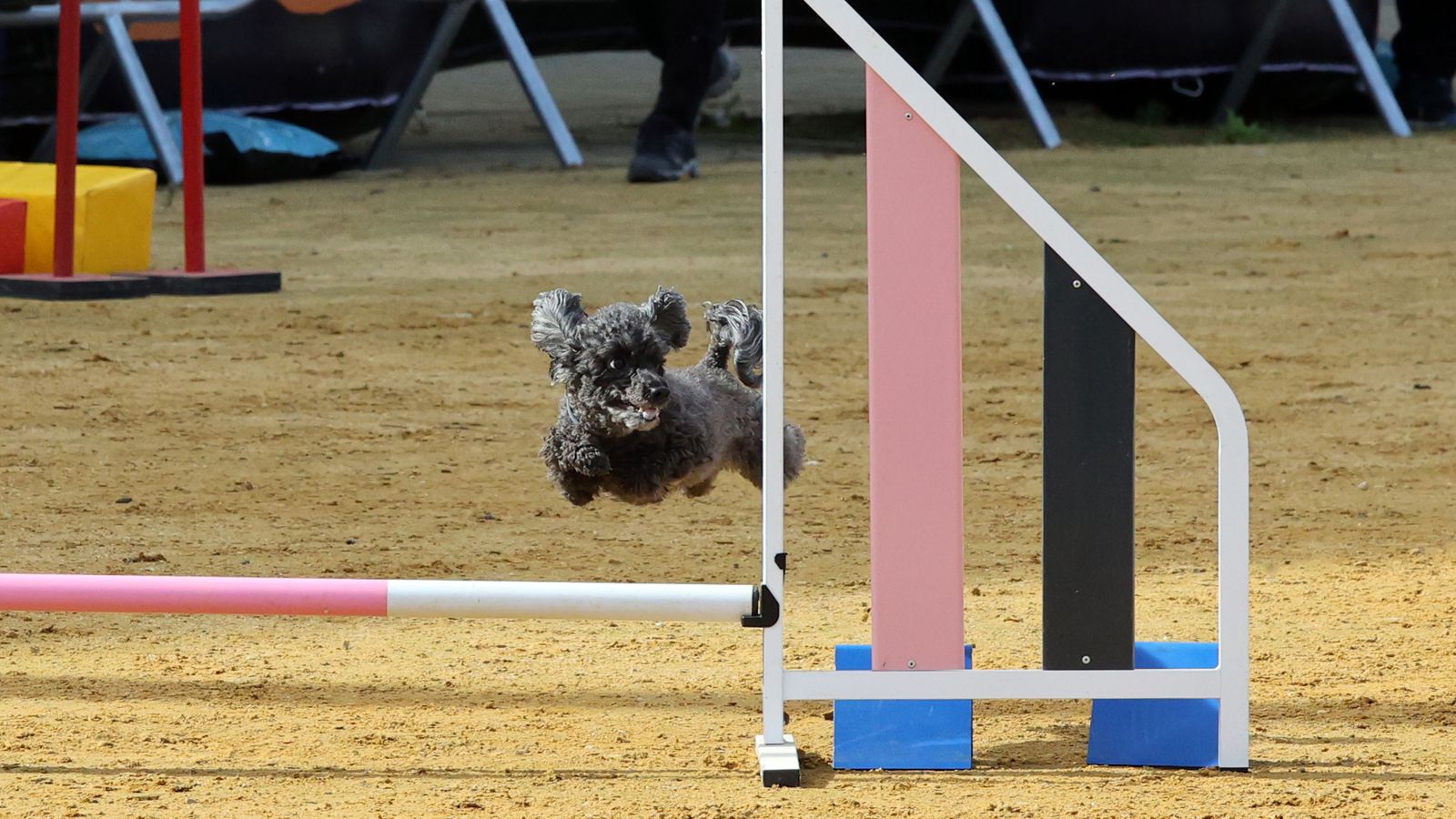 La Feria del Deporte y la Vida Sana cumple las expectativas en Ifeca