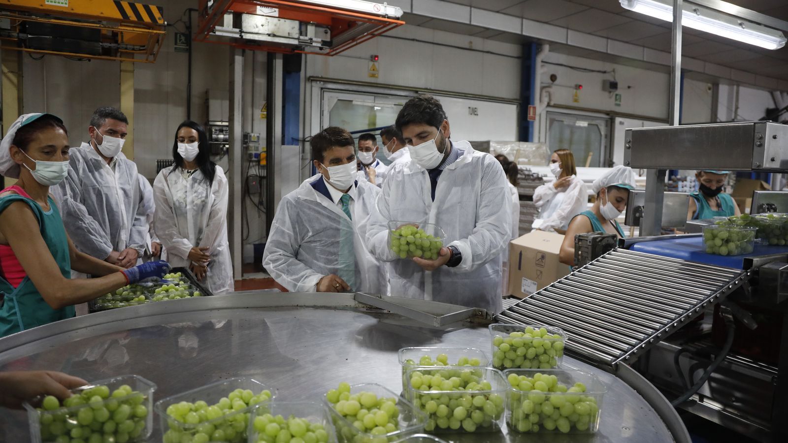 Visita a una empresa de uva.