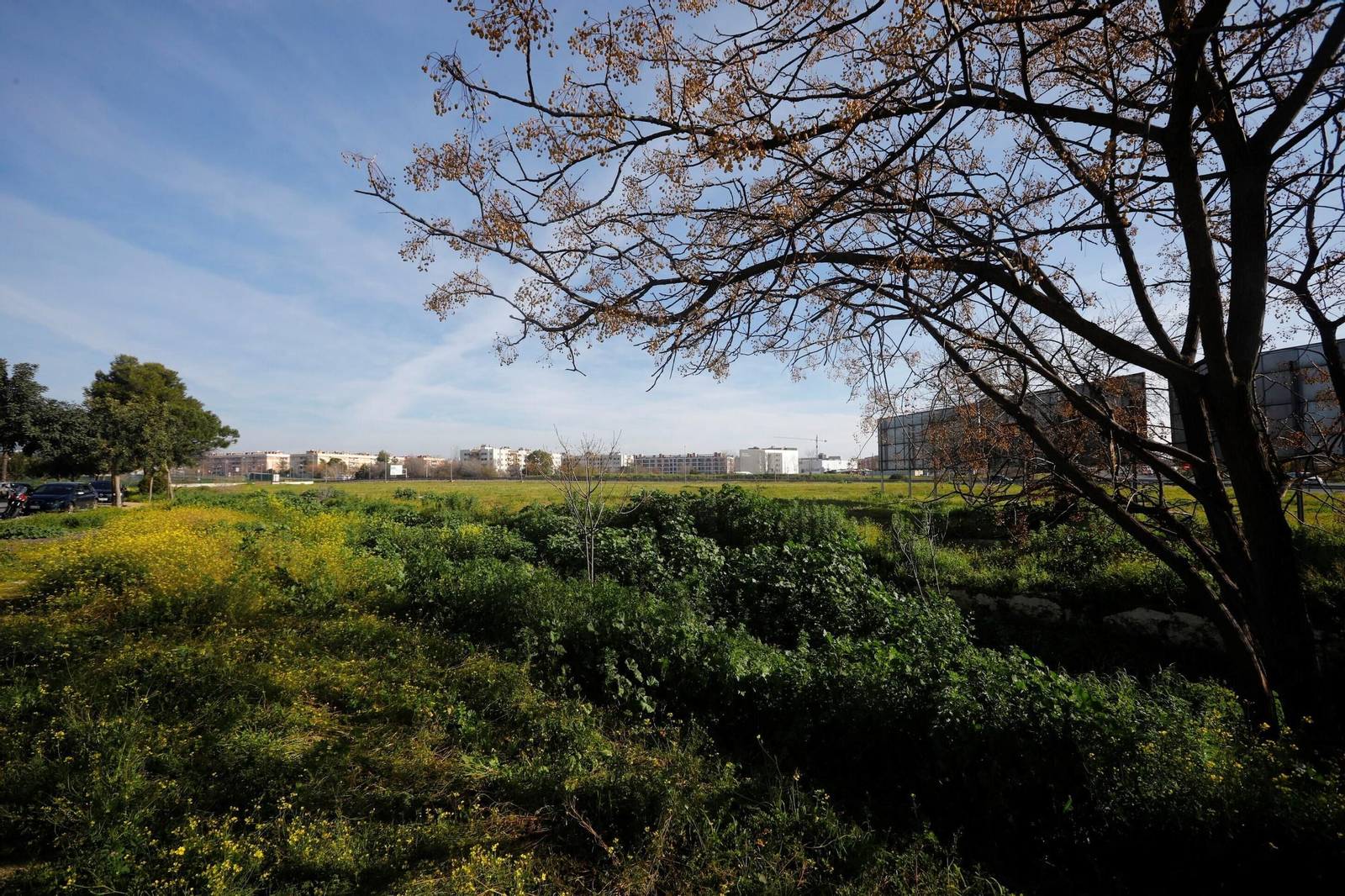 Terrenos del futuro parque de Poniente-Miralbaida de Córdoba
