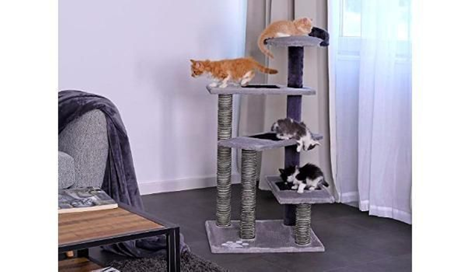 Prime Day: las mejores ofertas para mascotas