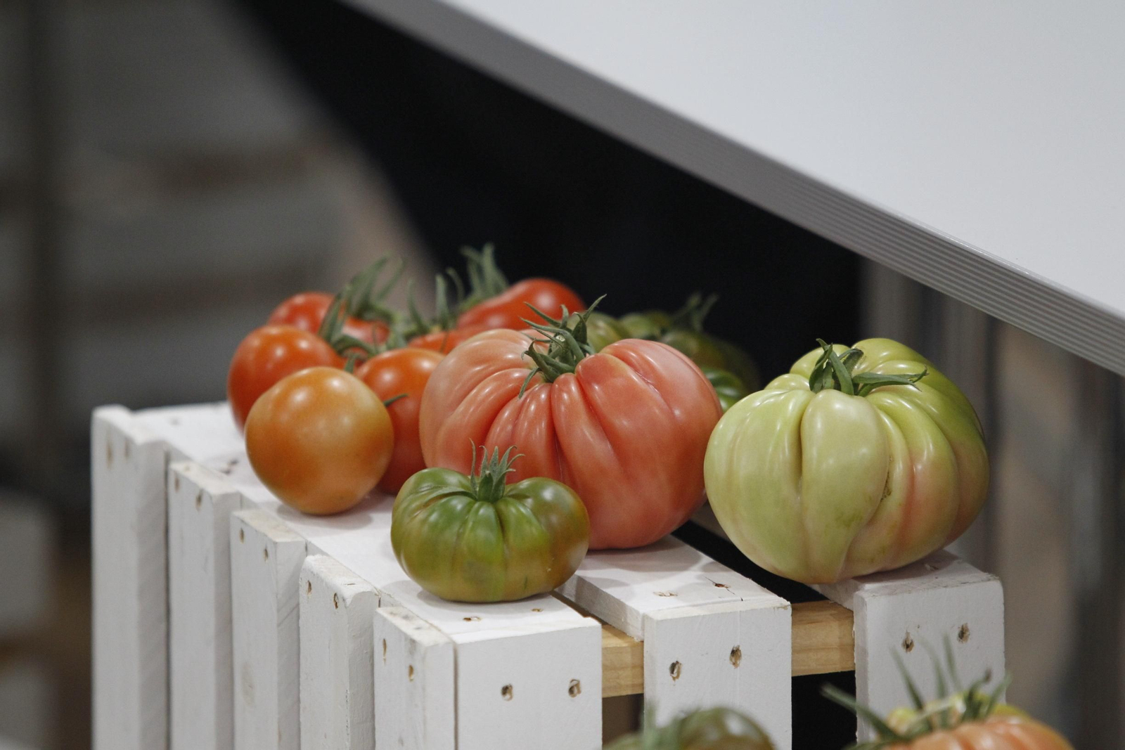 Fotogalería Foro de las Ideas. Almería Capital Española de la Gastronomía 2019