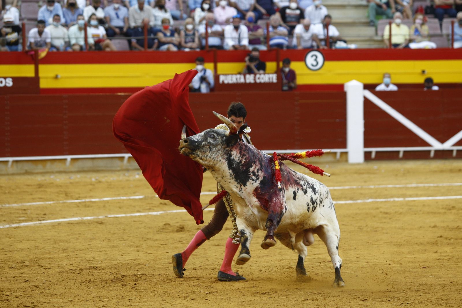 Fotogalería corrida de toros. Cayetano Rivera, Paco Ureña y Roca Rey. Roquetas de Mar.