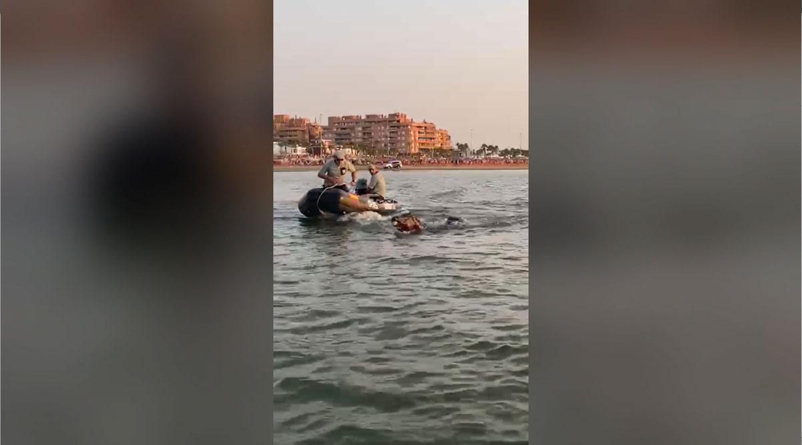 Un caballo desbocado en Sanlúcar.
