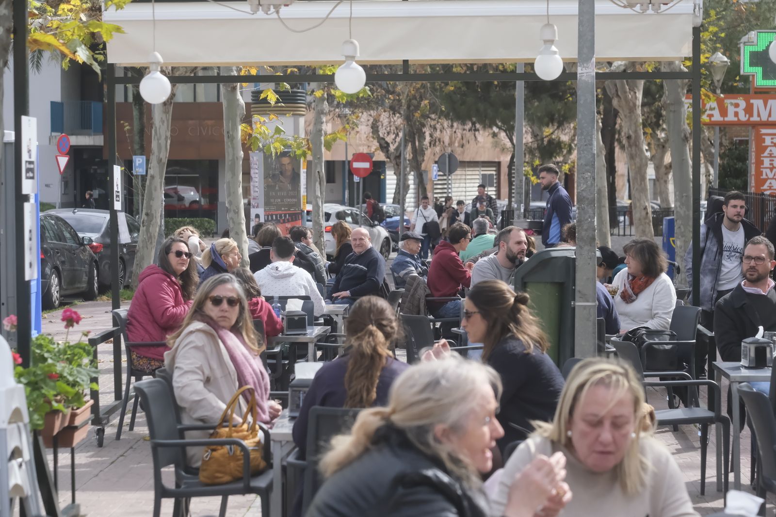 Primer día de la temporada 2023 de caracoles en Córdoba, en imágenes