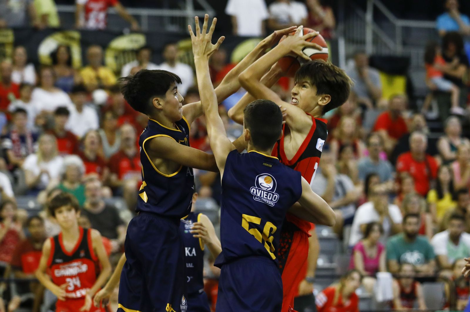 Encuéntrate en el partido de minibasket del Fundación CB Granada