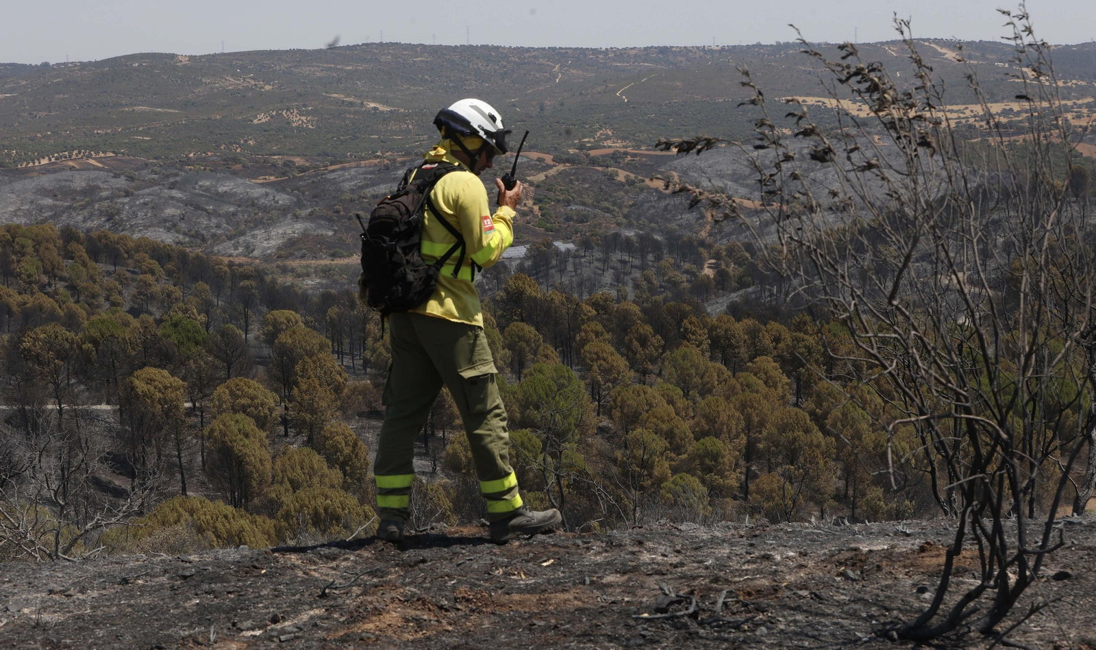 Los efectos del incendio en el Ronquillo en imágenes