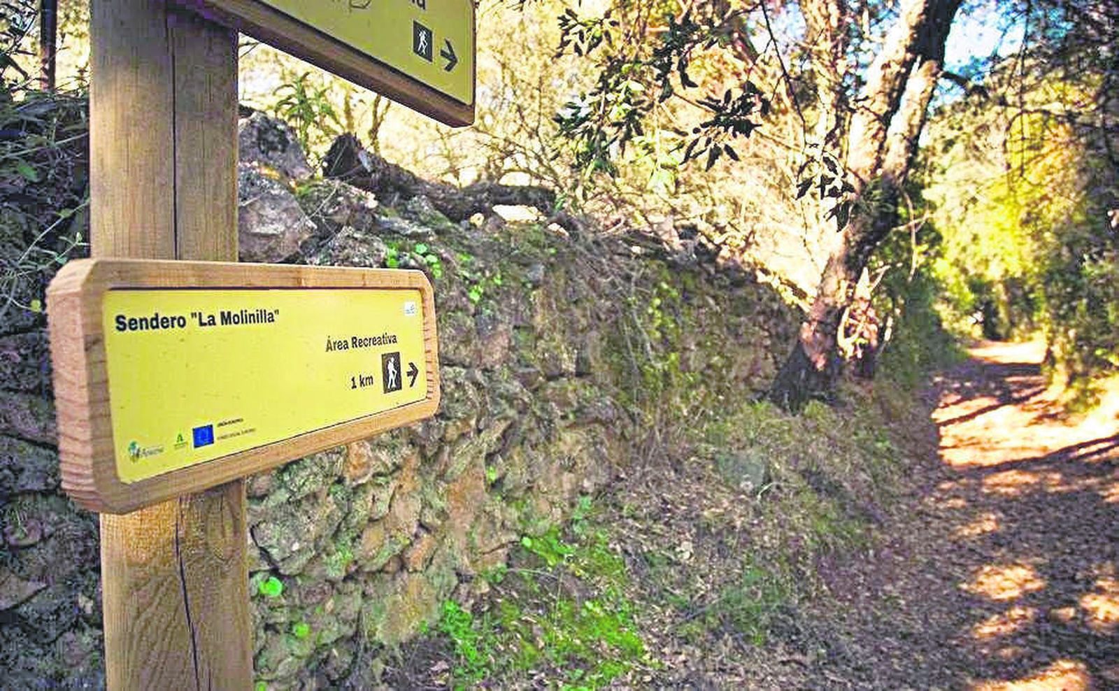 Zona del Sendero "La Molinilla".