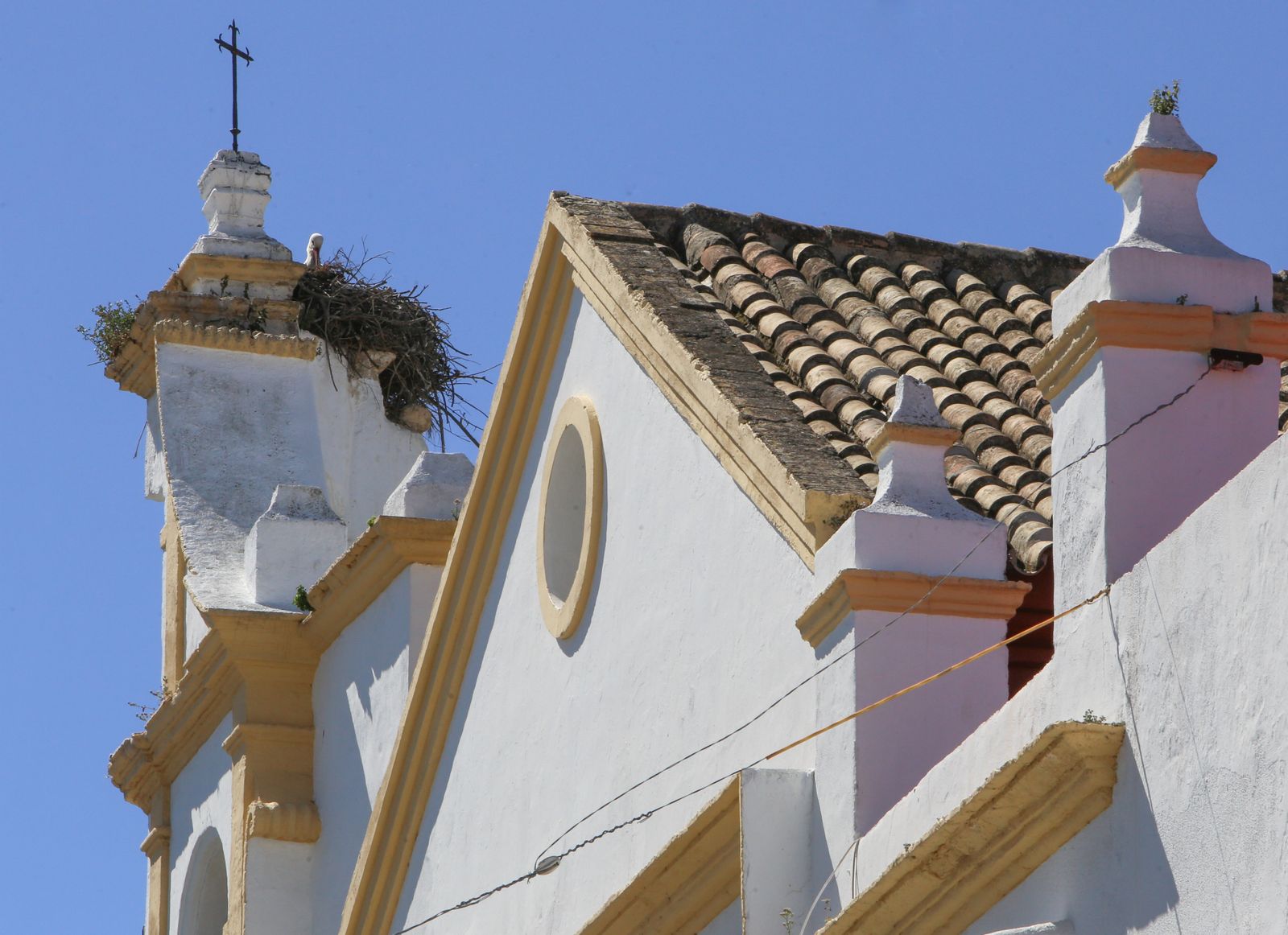 Vista del nido de cigüeñas en la iglesia de San Telmo