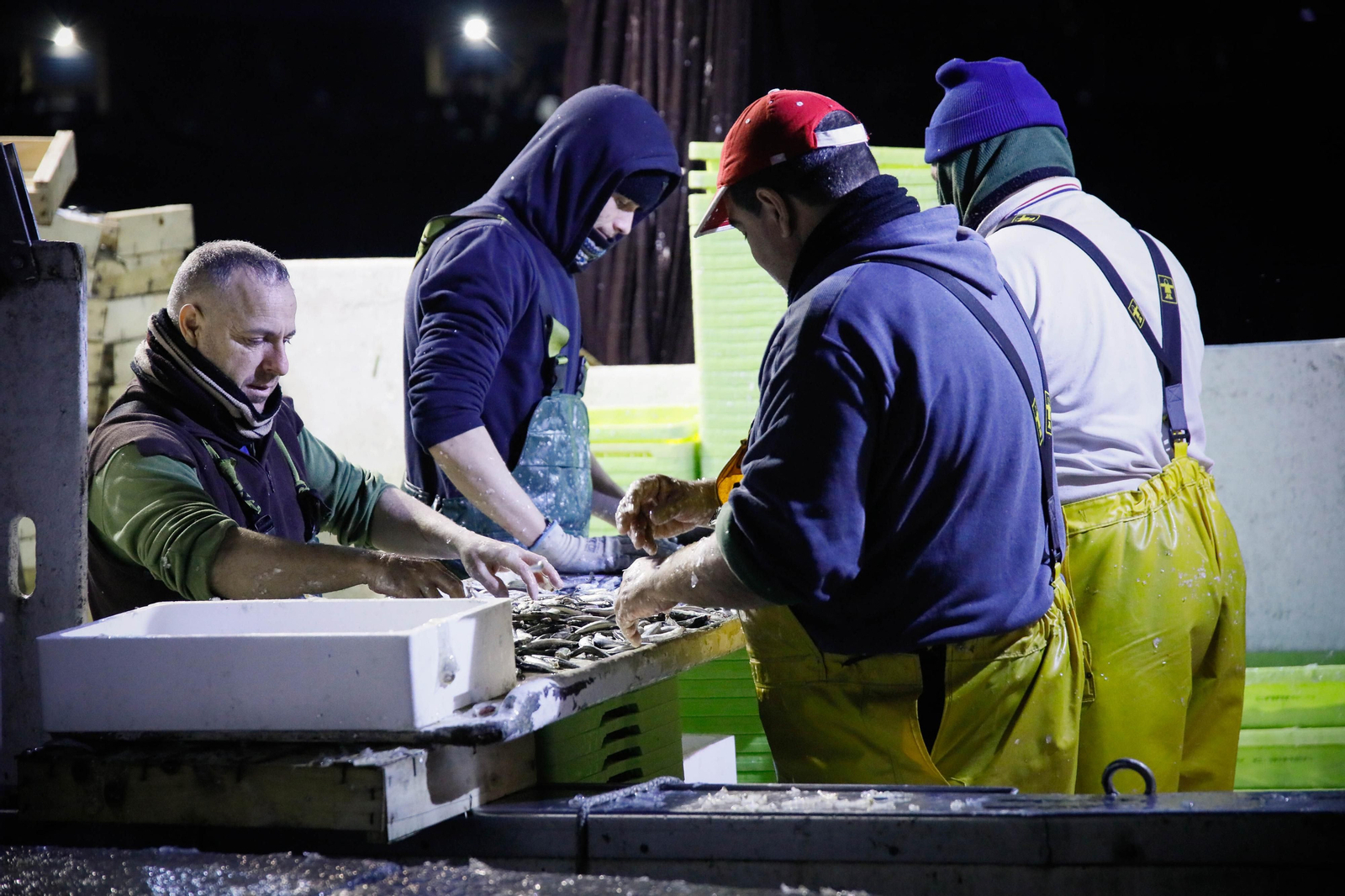 Te contamos en imágenes como ha sido la descarga de las traiñas en la lonja de Almería
