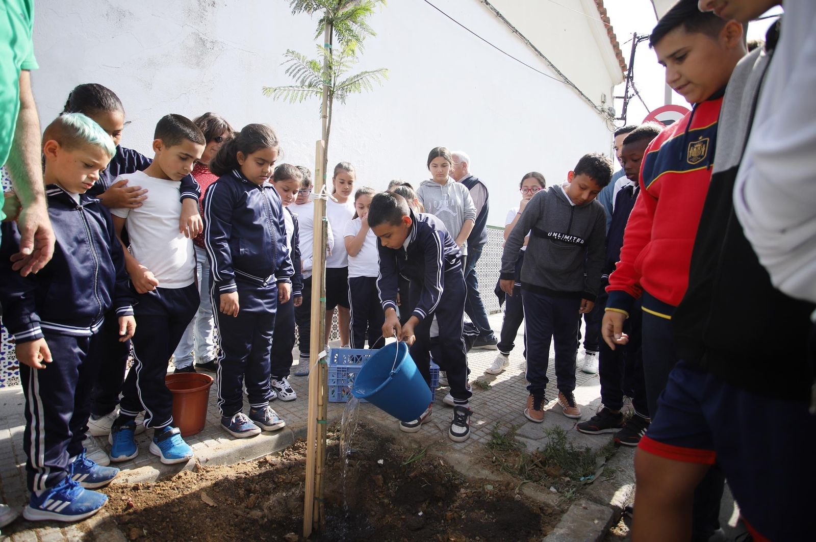 Imágenes la plantación de árboles en la Barriada de la Navidad por alumnos del Colegio Virgen de Belén