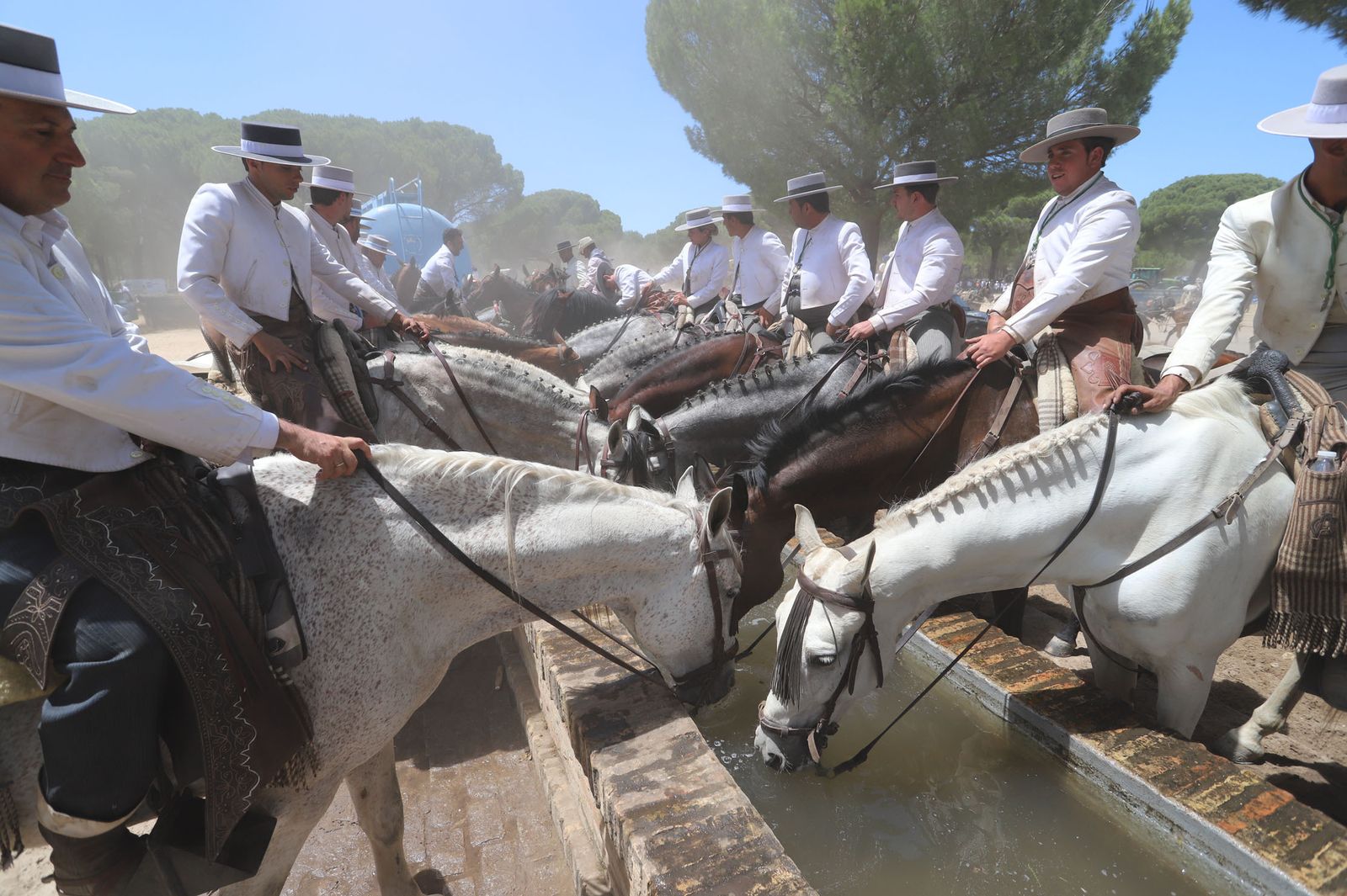 Imágenes de la Hermandad del Rocío de Huelva en el camino