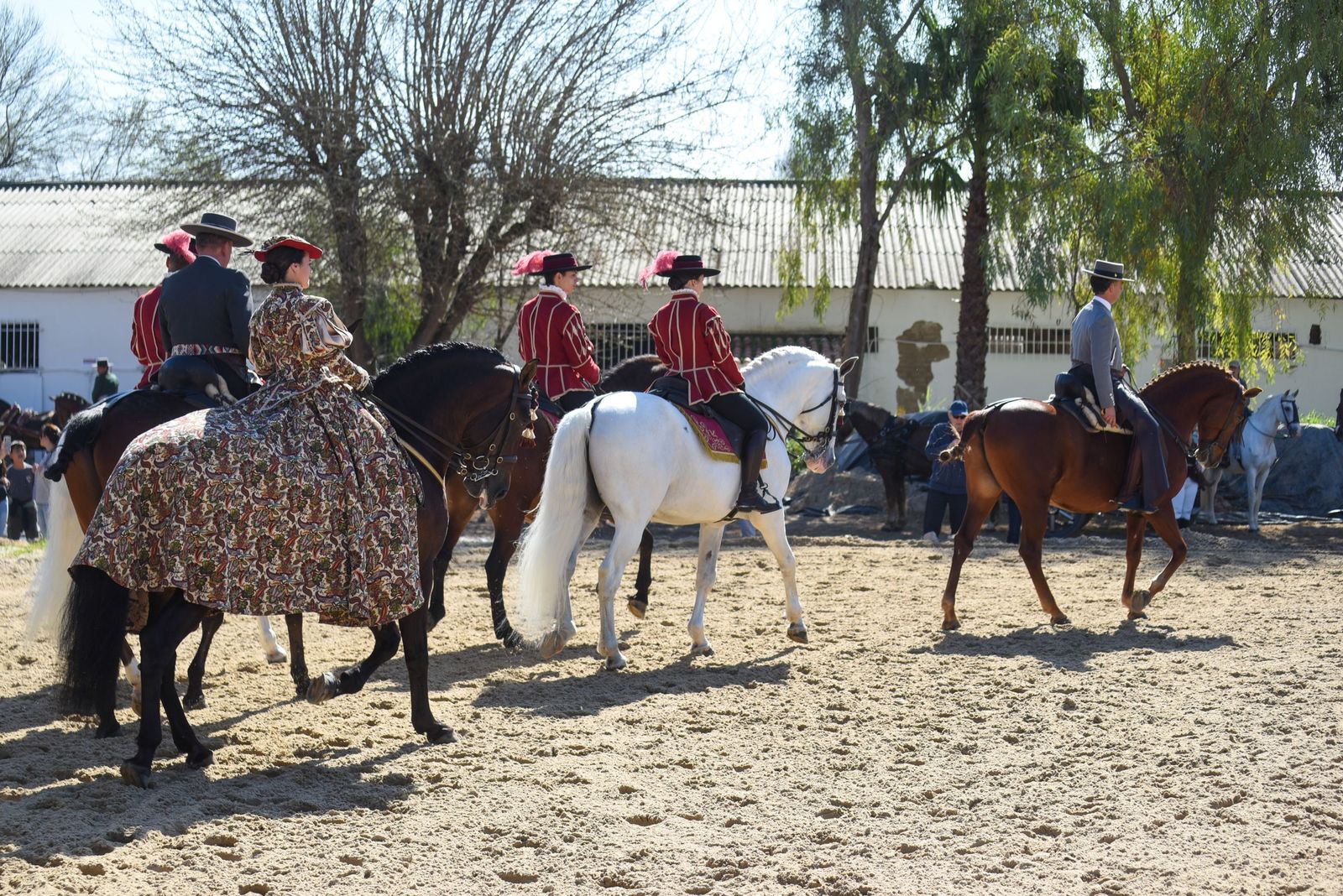 Las mejores imágenes de la Marcha Hípica Córdoba a Caballo del 28F de 2026