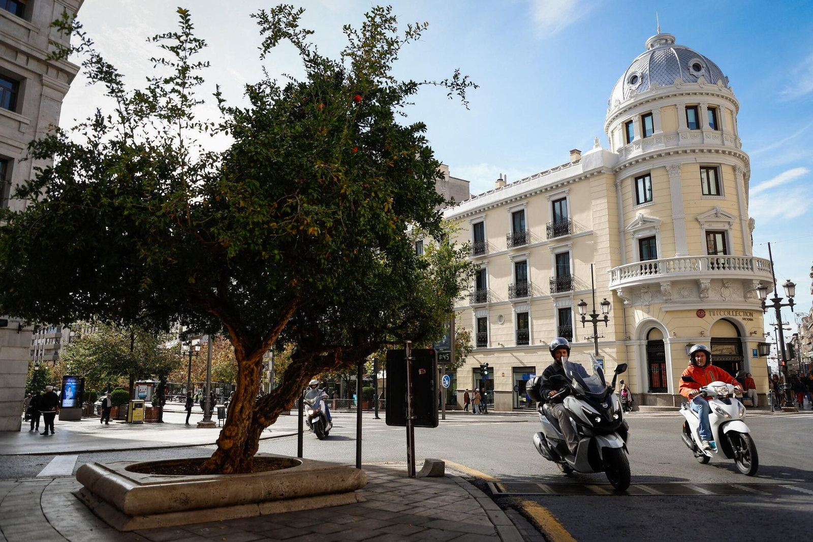 En primer plano, el granado que da la 'bienvenida' a la calle Ganivet.