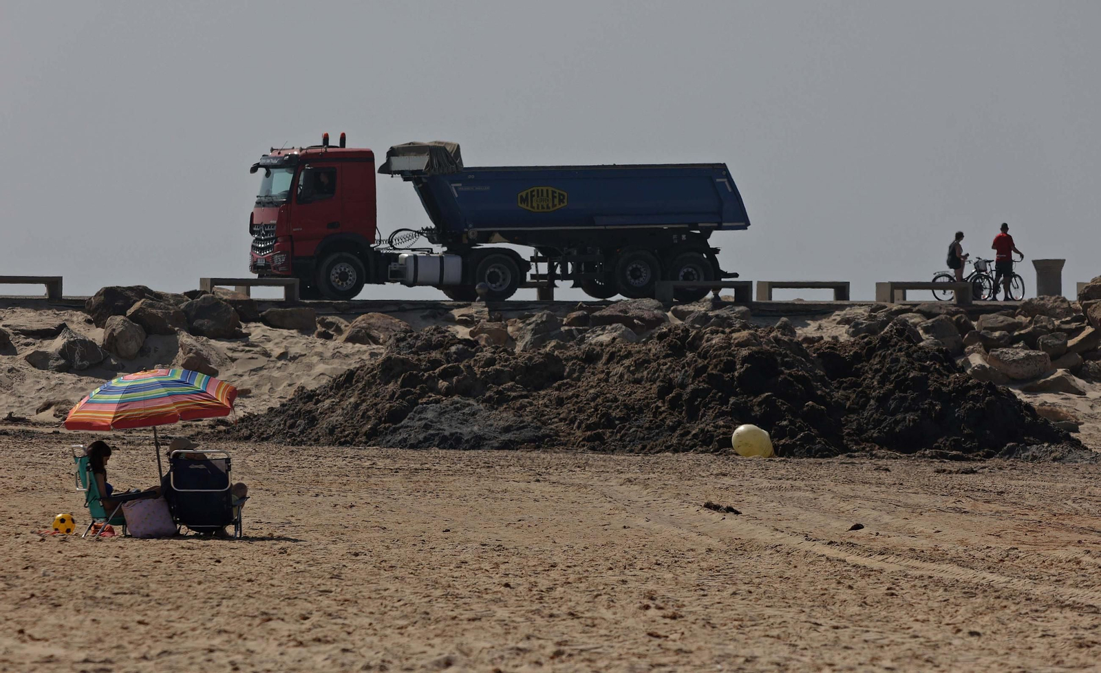 El alga invasora cubre de nuevo la playa de Los Lances en Tarifa