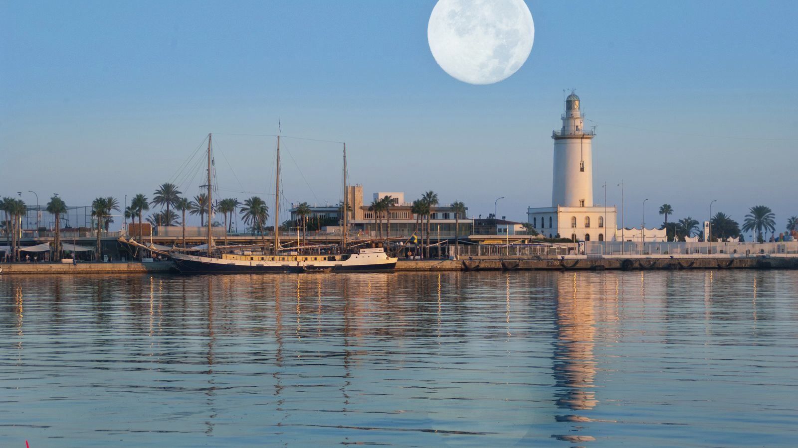 La imagen ganadora, de Mariano Castillo.