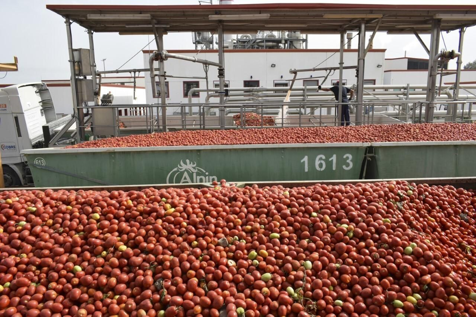 La planta de tratamiento de Travir, ubicada en El Trobal, en una imagen reciente distribuida por el Ayuntamiento de Los Palacios.