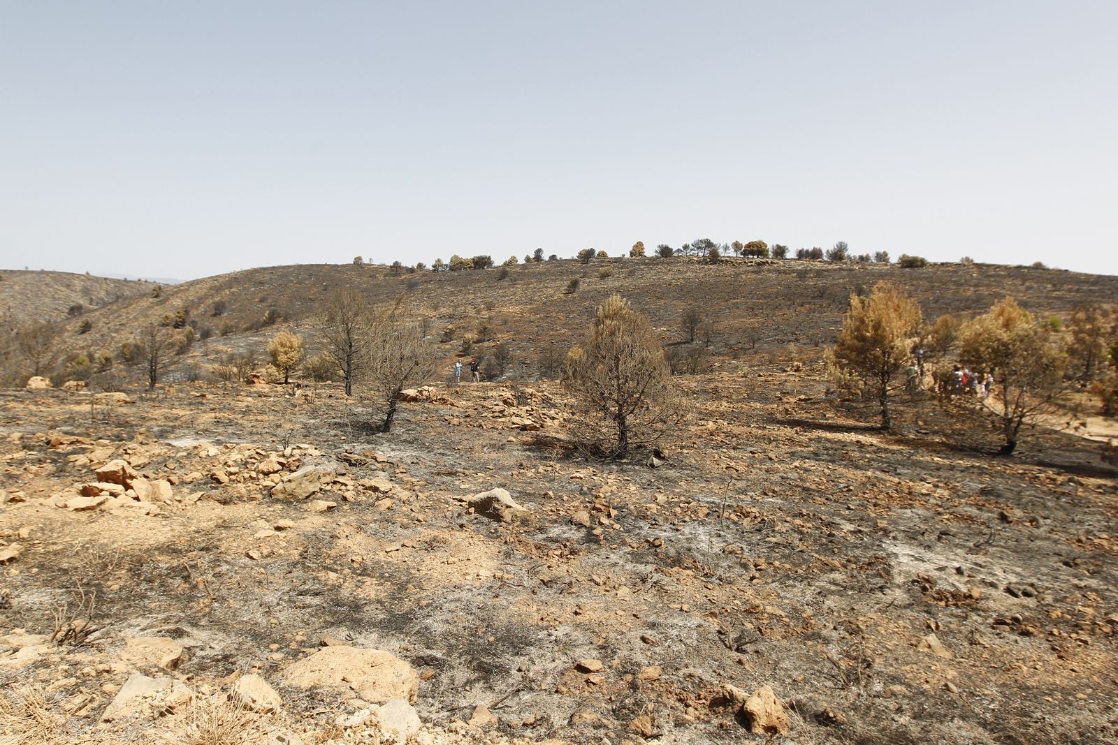 Fotogalería incendio extinguido Sierra de Gádor