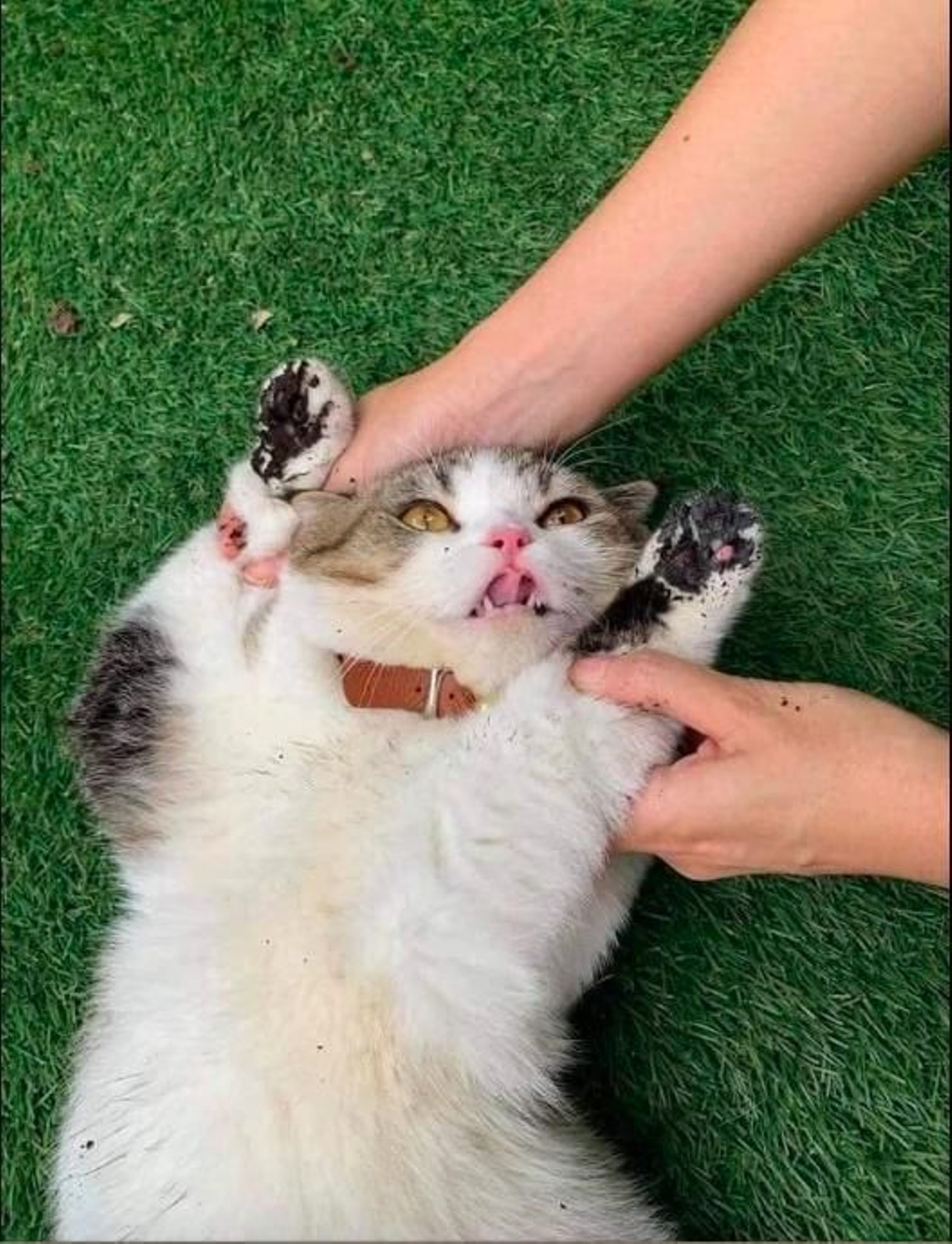 Pillado con las manos en la masa