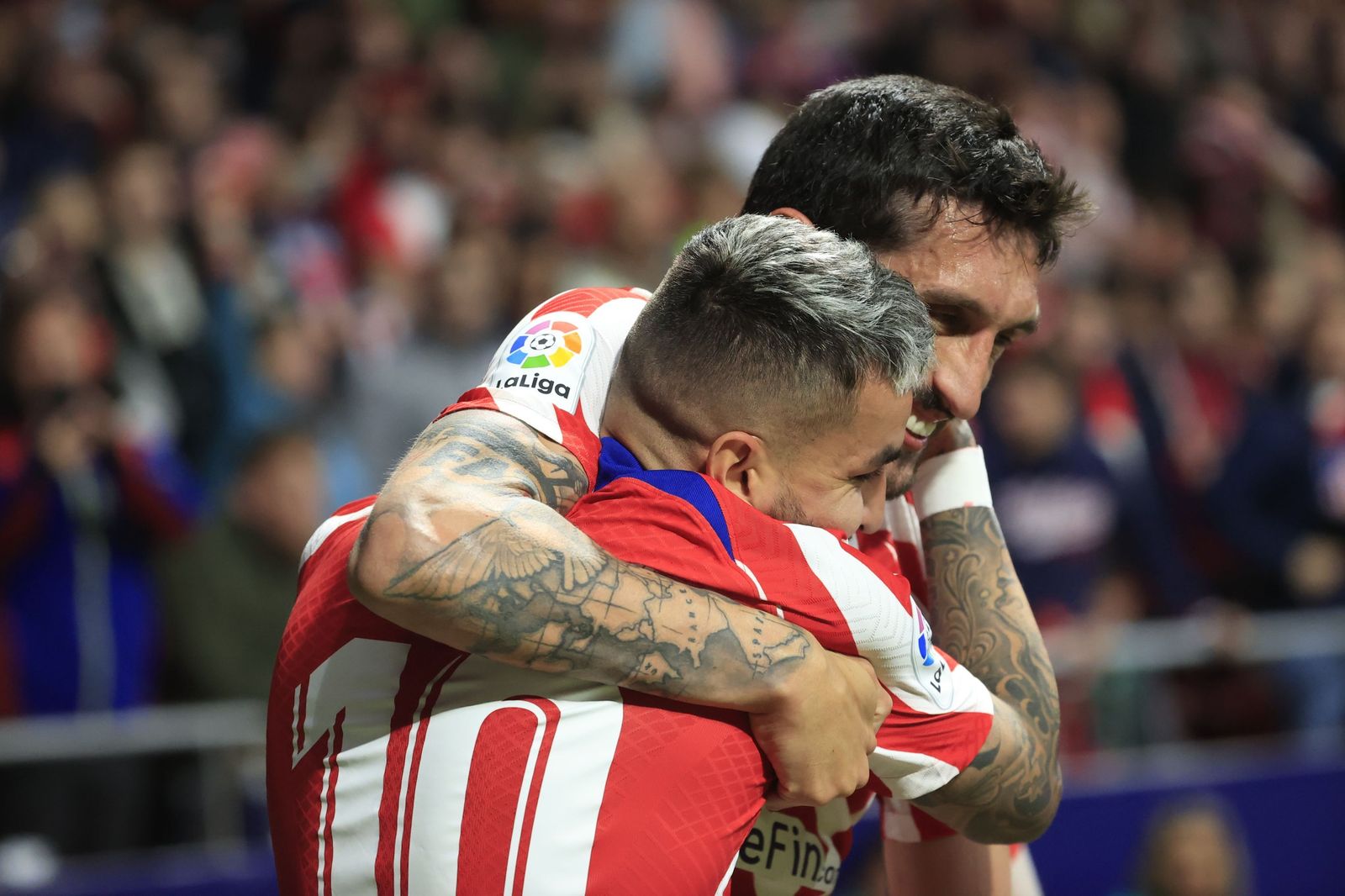 Las fotos del Atlético Madrid - Betis