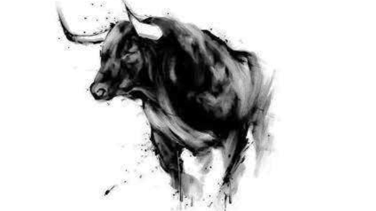 El Toro (desolysombra).