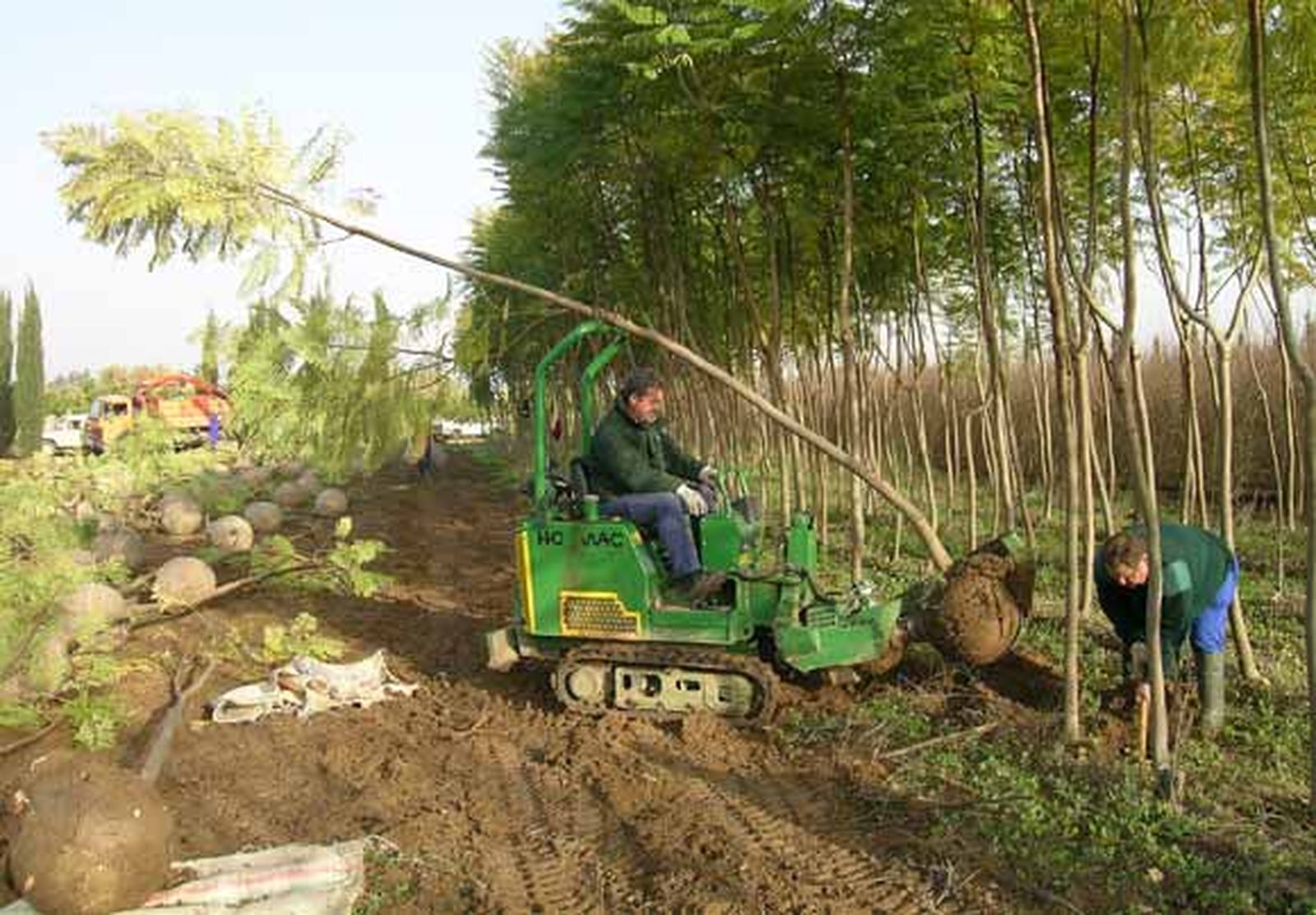 El jardín de las cien especies