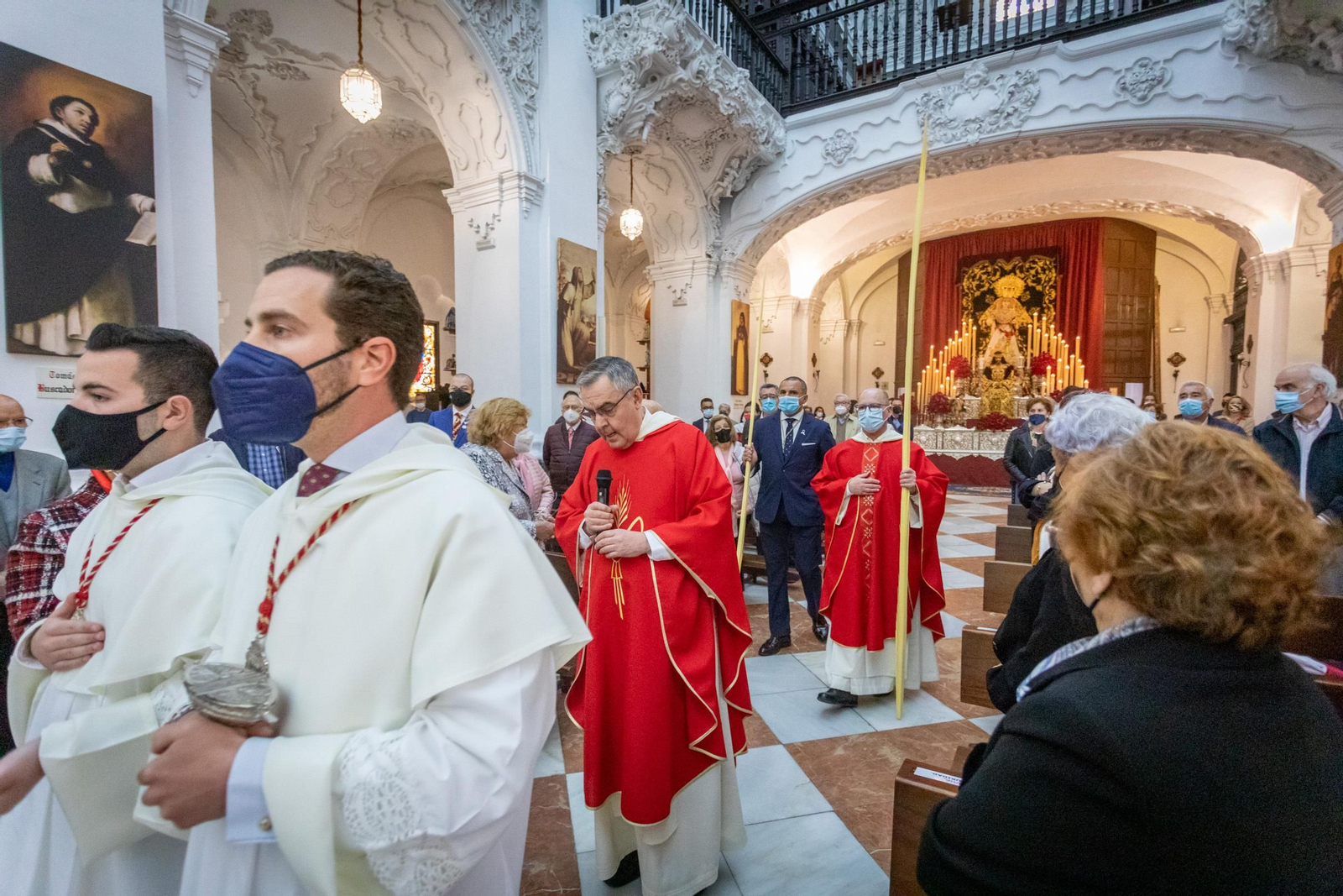 Las imágenes del Domingo de Ramos en Cádiz