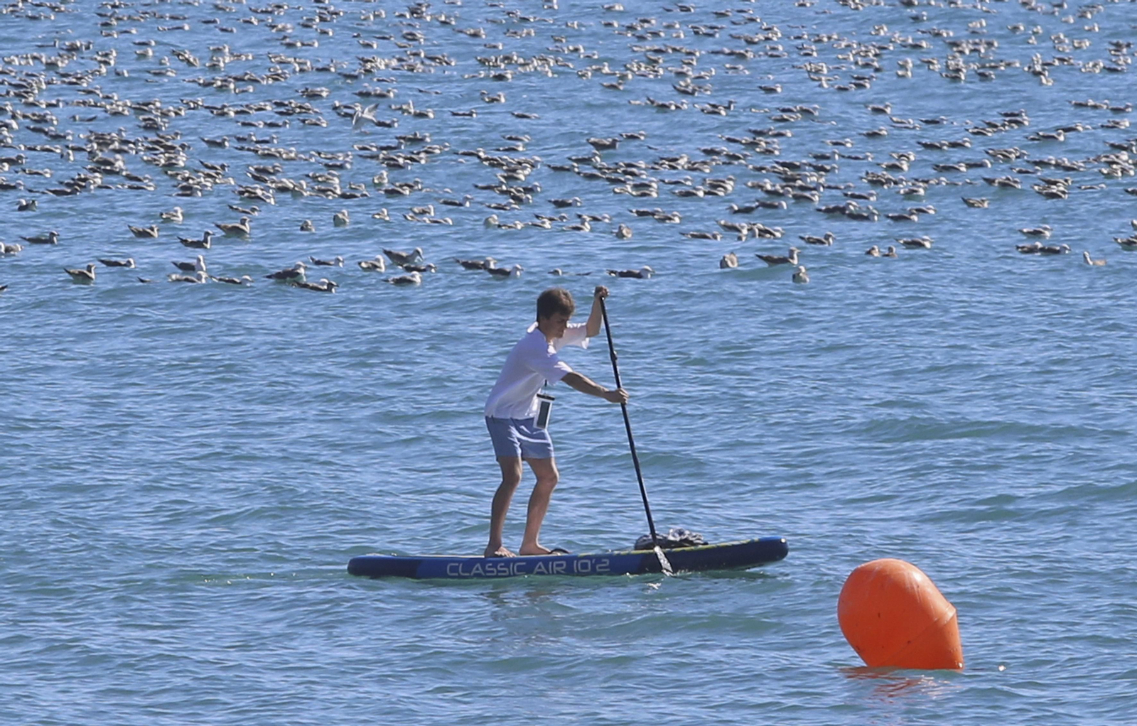 Las fotos de las playas de Málaga ante un calor que "no es normal"