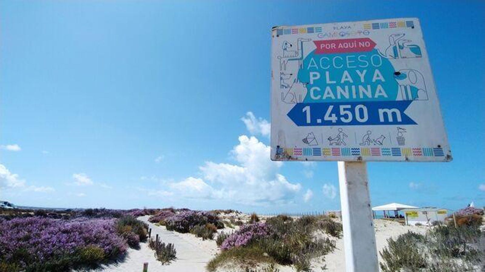 Cartel que indica el camino a seguir para llegar a la playa canina de Camposoto desde el último acceso. D.C. (San Fernando) Cartel que indica el camino a seguir para llegar a la playa canina de Camposoto desde el último acceso. D.C. (San Fernando)
