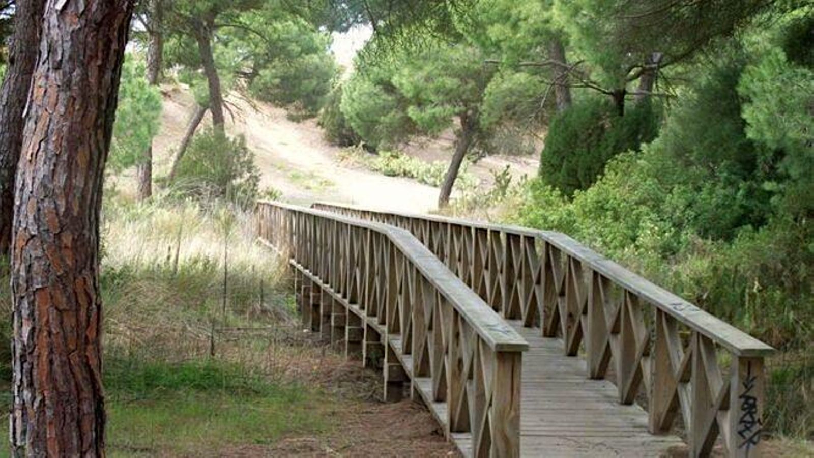 Ruta senderista por el entorno de la Laguna del Portil
