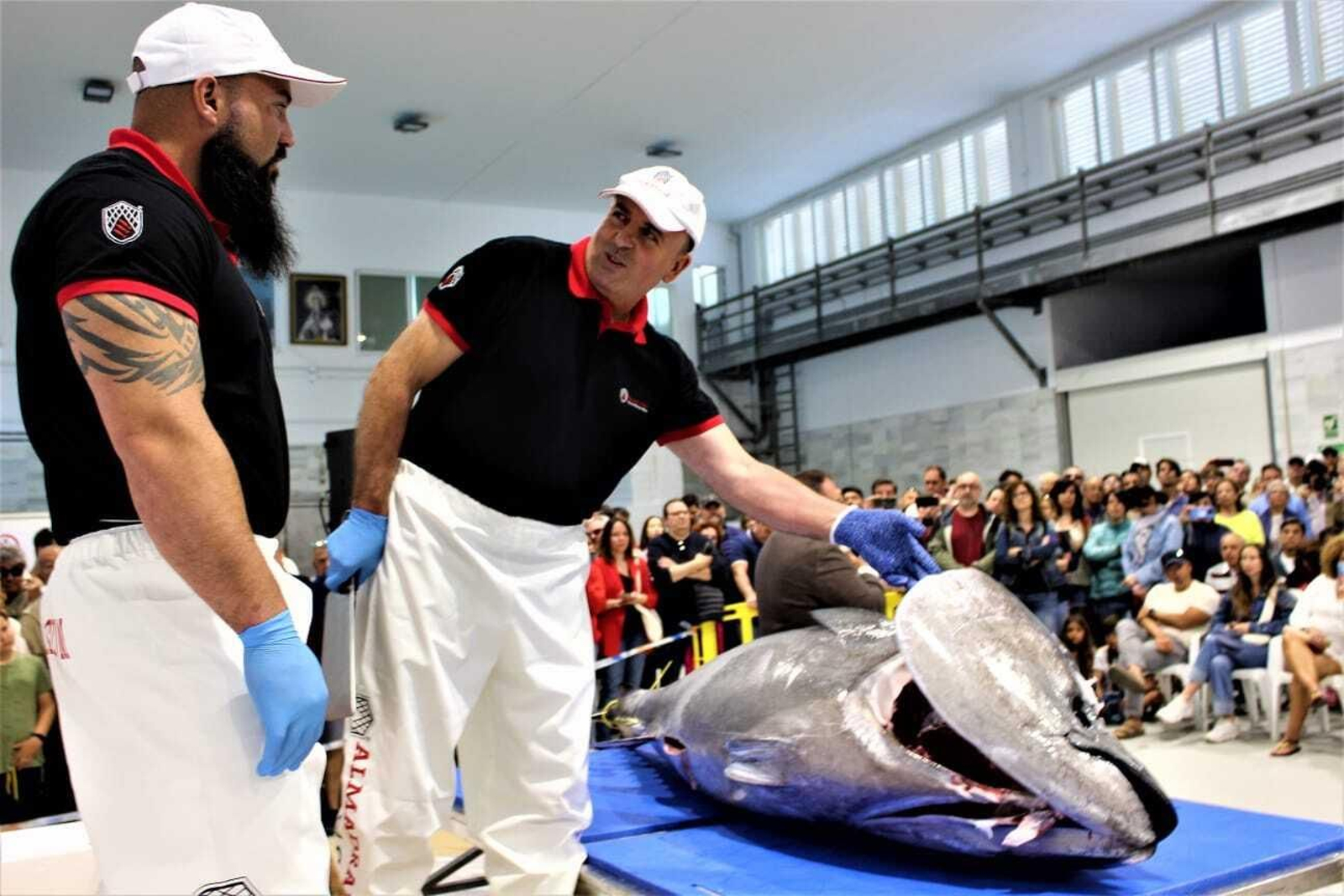 La Feria del Atún de Barbate 2024, en imágenes: ronqueo y showcooking entre tapas del mejor atún