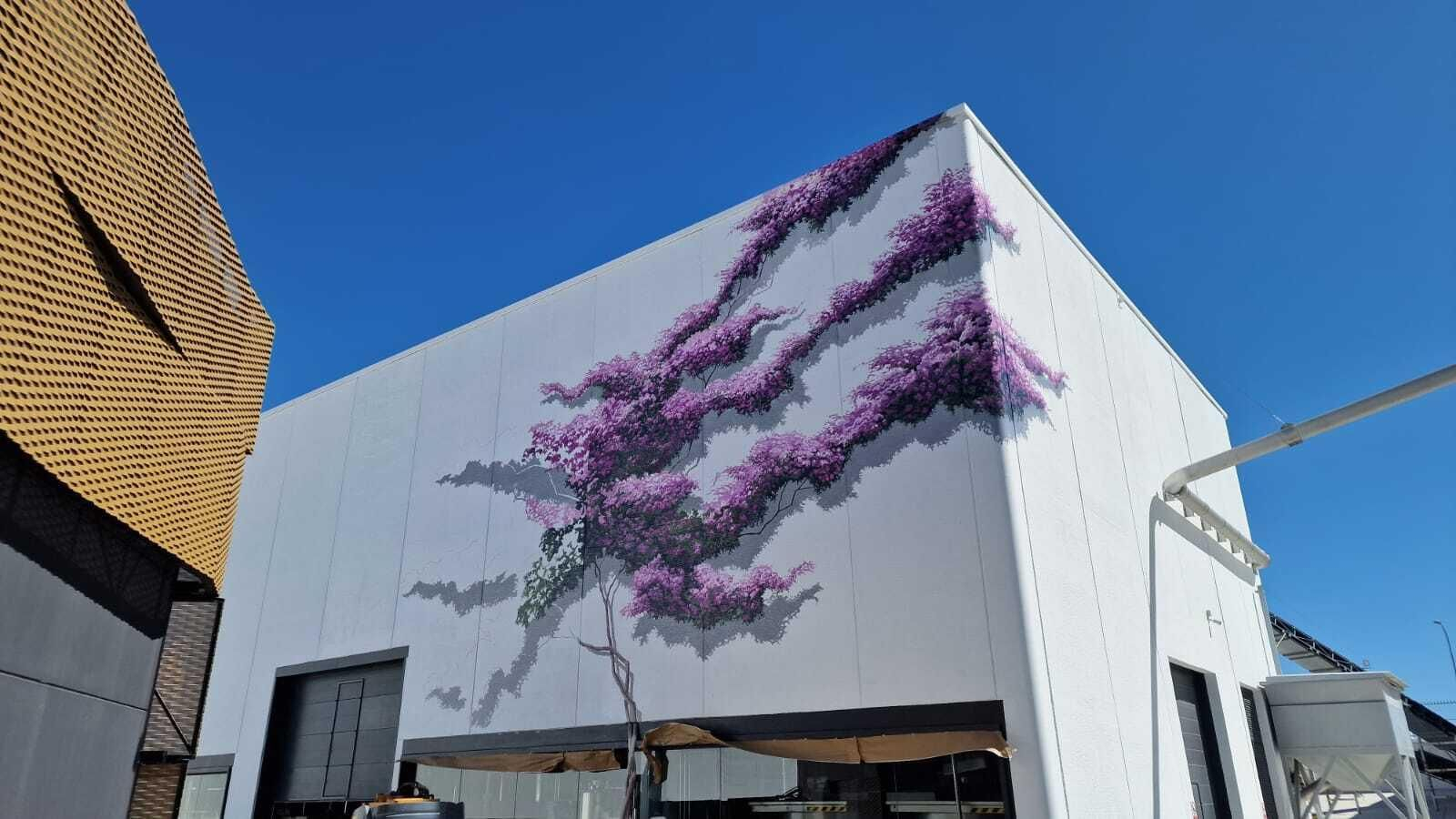 Vista general de la enorme buganvilla que decora una de las esquinas de la planta.