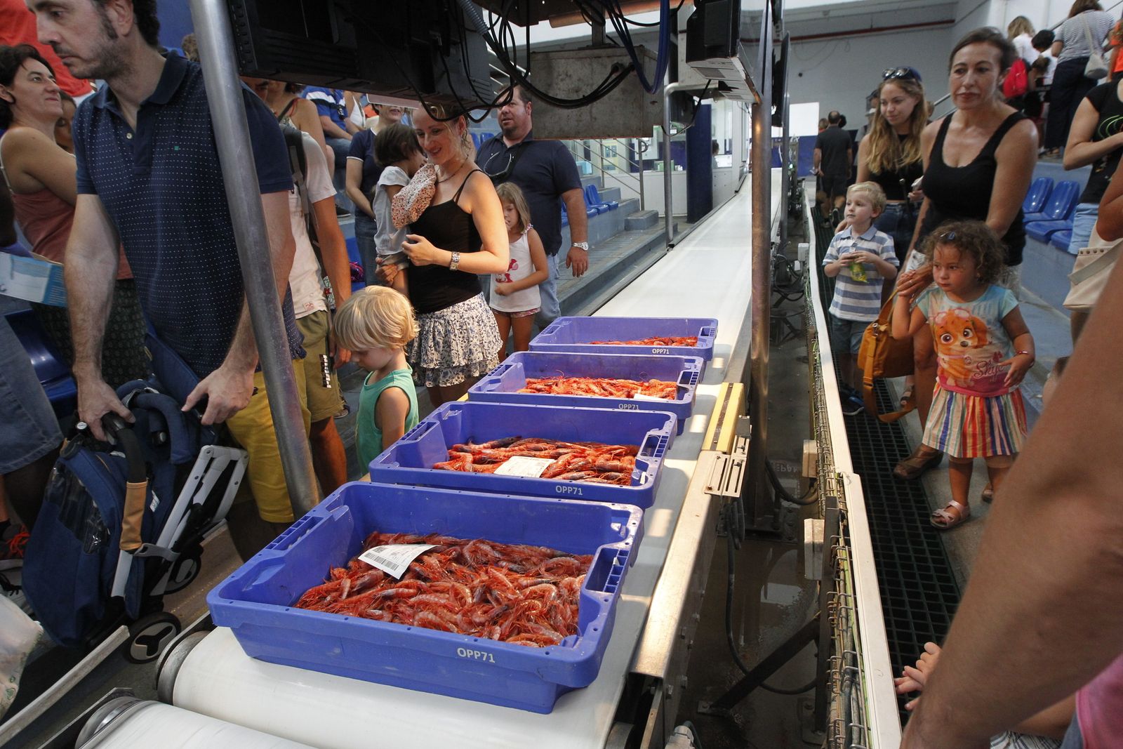 Fotogalería Jornada Puertas Abiertas Puerto Pesquero Almería