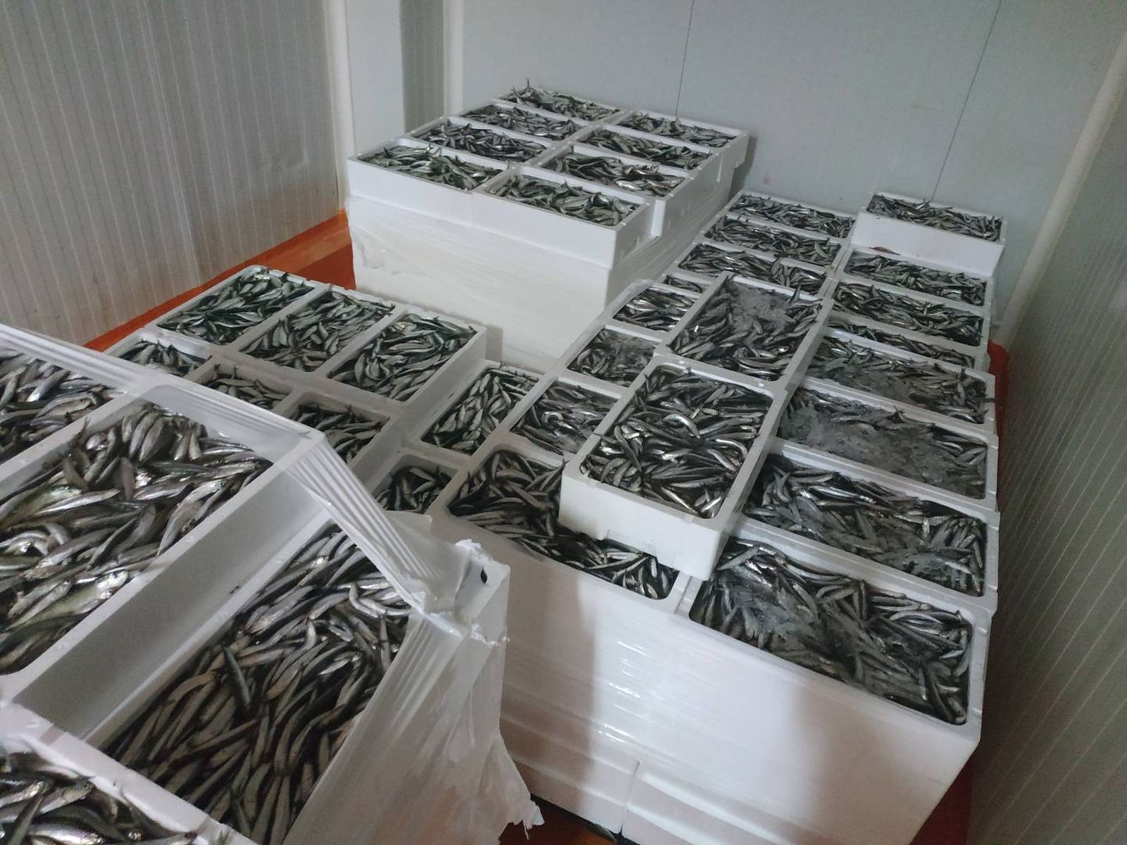 Inspección Pesquera decomisó en Huelva casi 48 toneladas de productos ilegales durante 2020