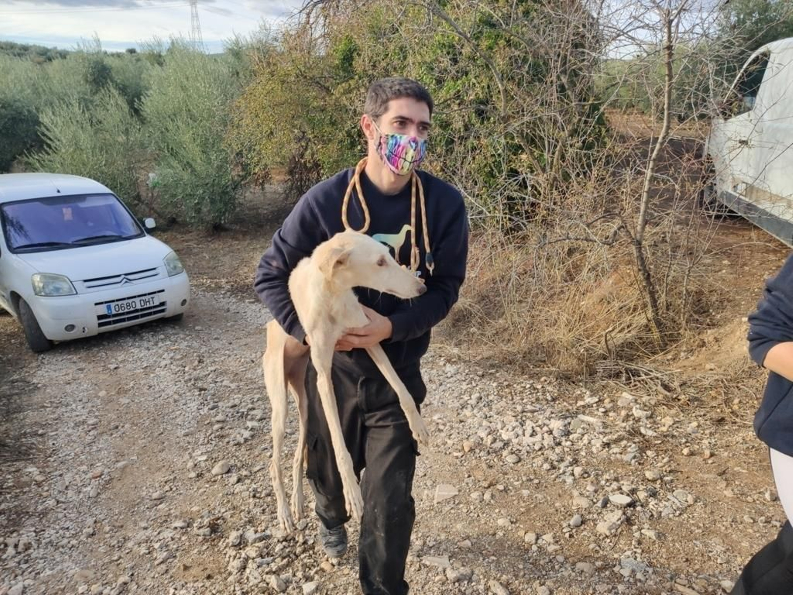 La 'finca de los horrores' donde se maltrataba a perros de caza en Cabra, en imágenes