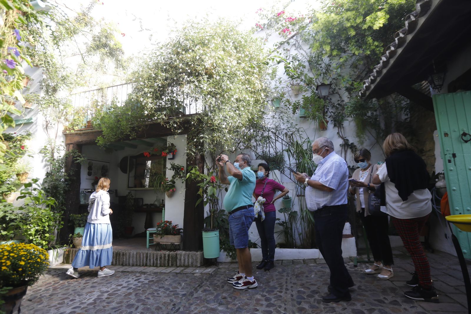 Las fotografías del primer día de apertura de los Patios de Córdoba en otoño