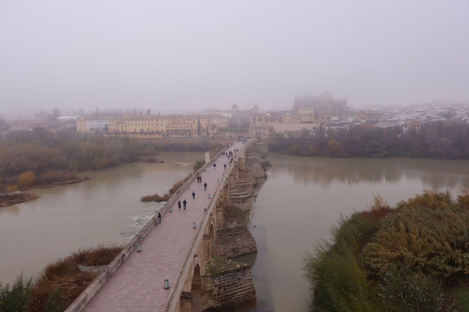 Córdoba amanece bajo la niebla el último día de 2025, en fotos