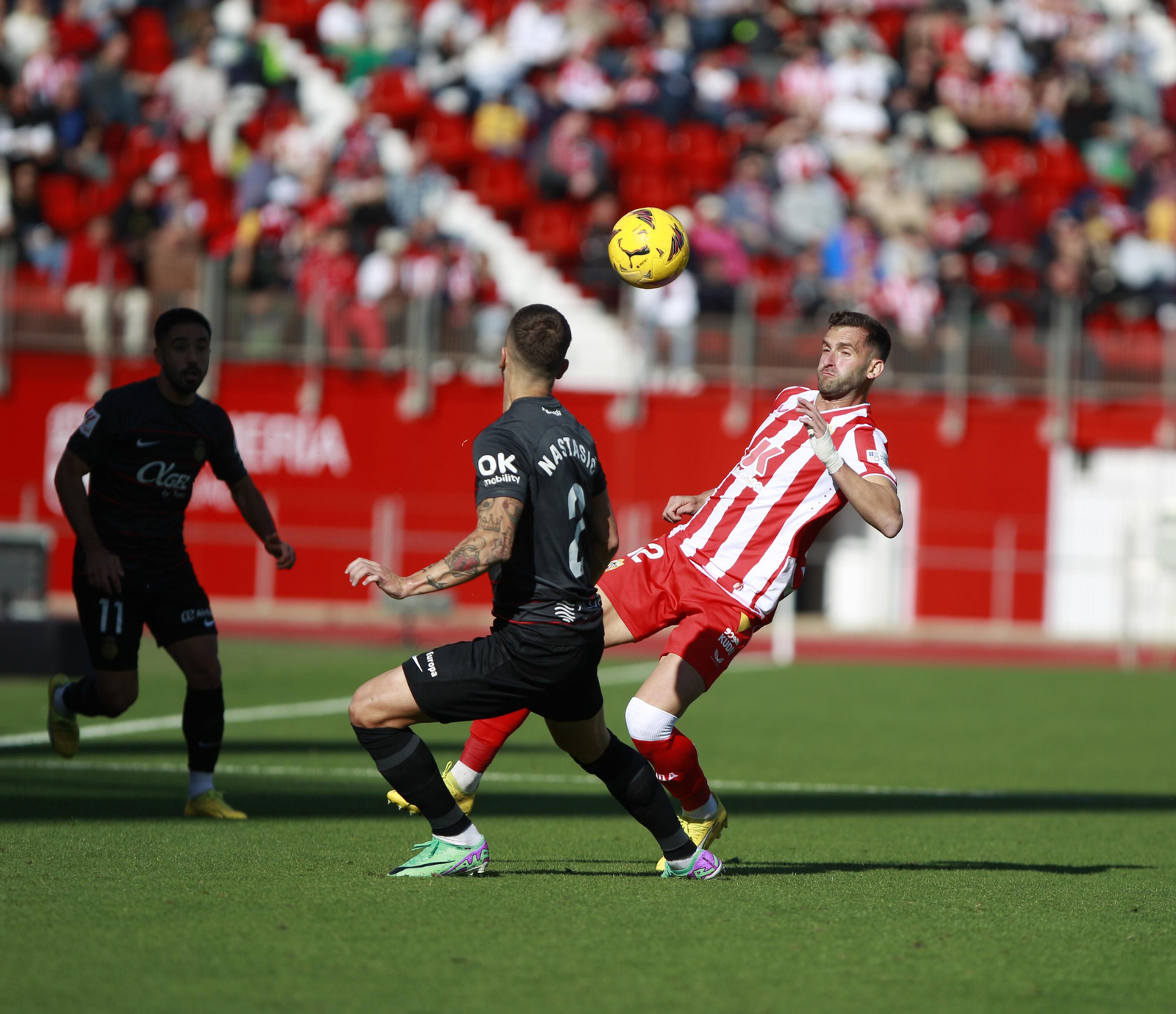 Imágenes del partido U.D. Almería-R.C.D. Mallorca