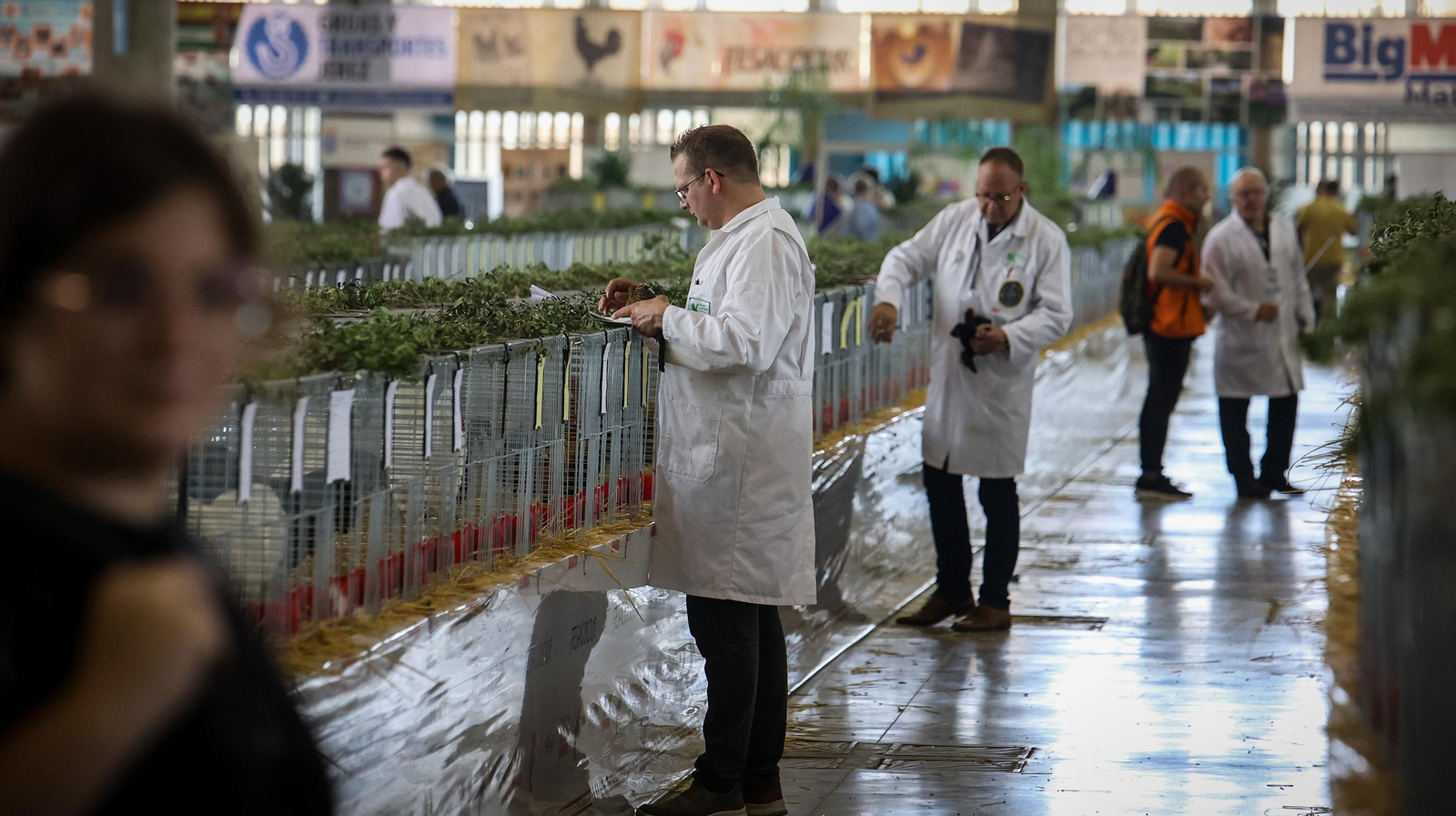 Comienza la feria de la ganadería y la agricultura en IFECA