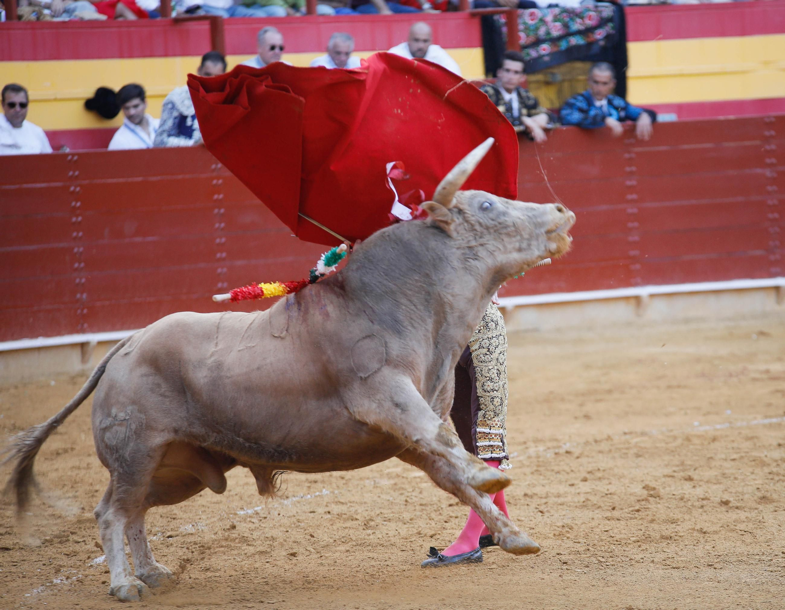 Imágenes de la corrida de toros en Roquetas de Mar