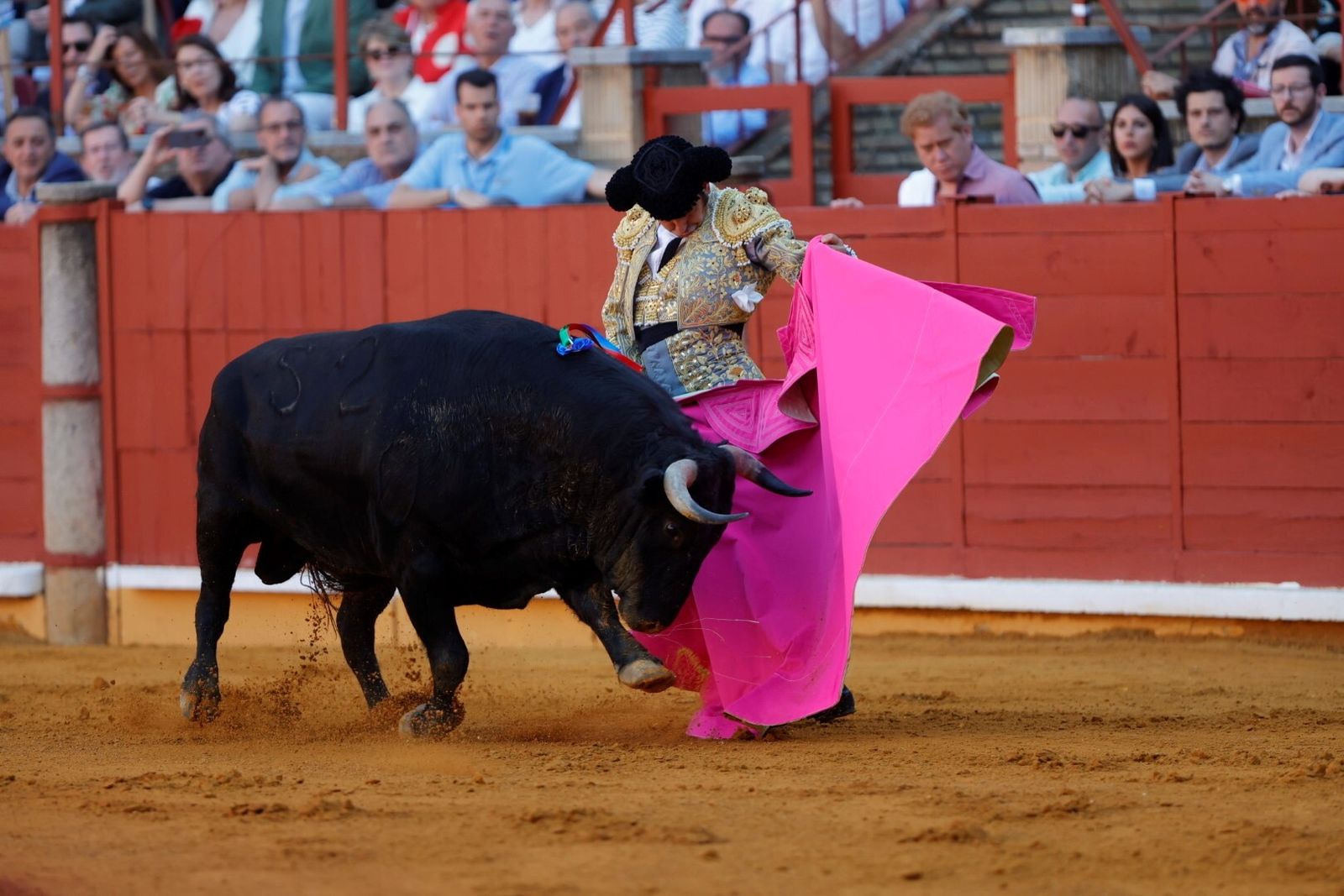 Las mejores fotos de la corrida de Morante, Ortega y Roca Rey en la Feria Taurina de Córdoba