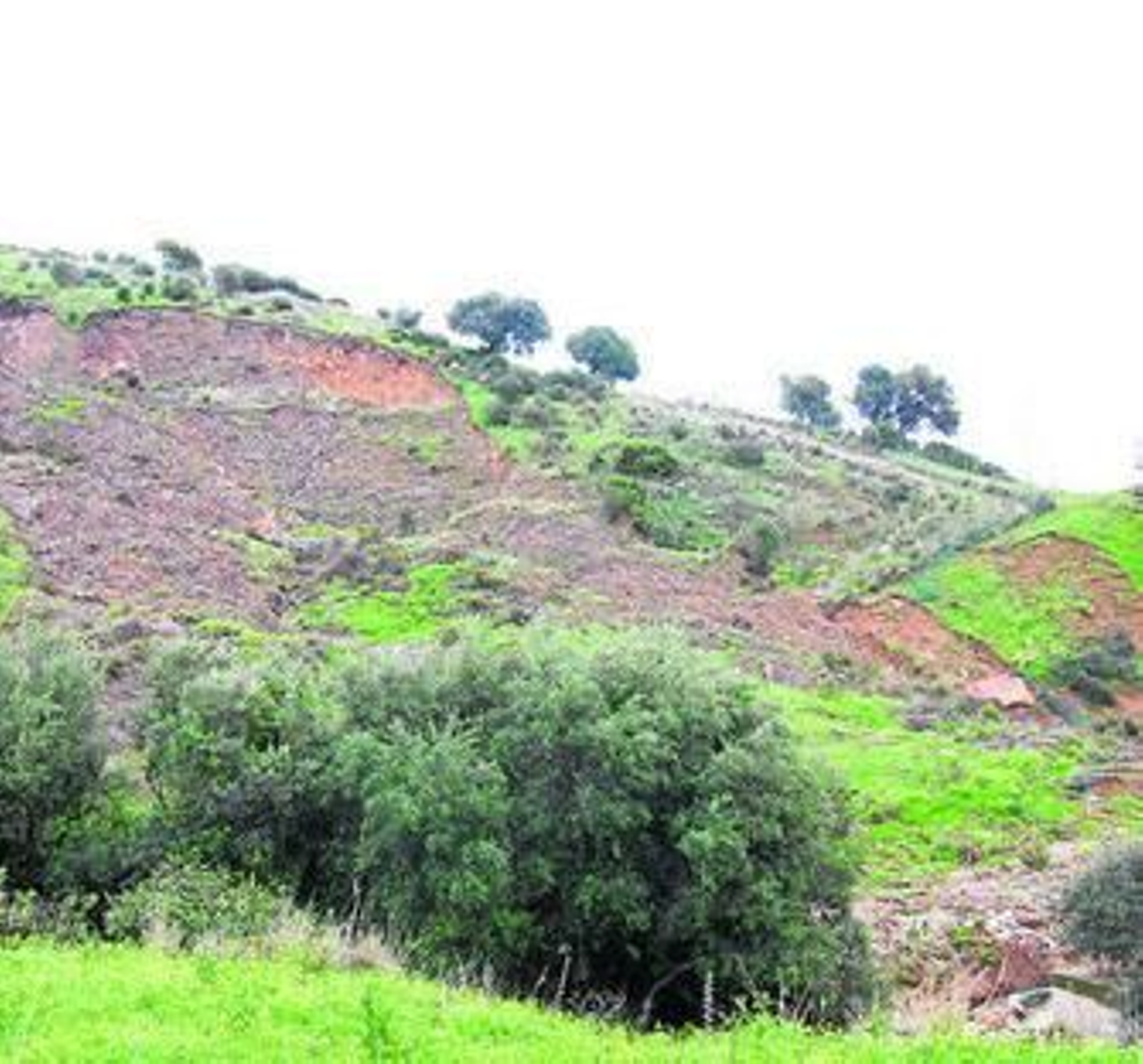 Desprendimiento que se ha producido en el antiguo vertedero.