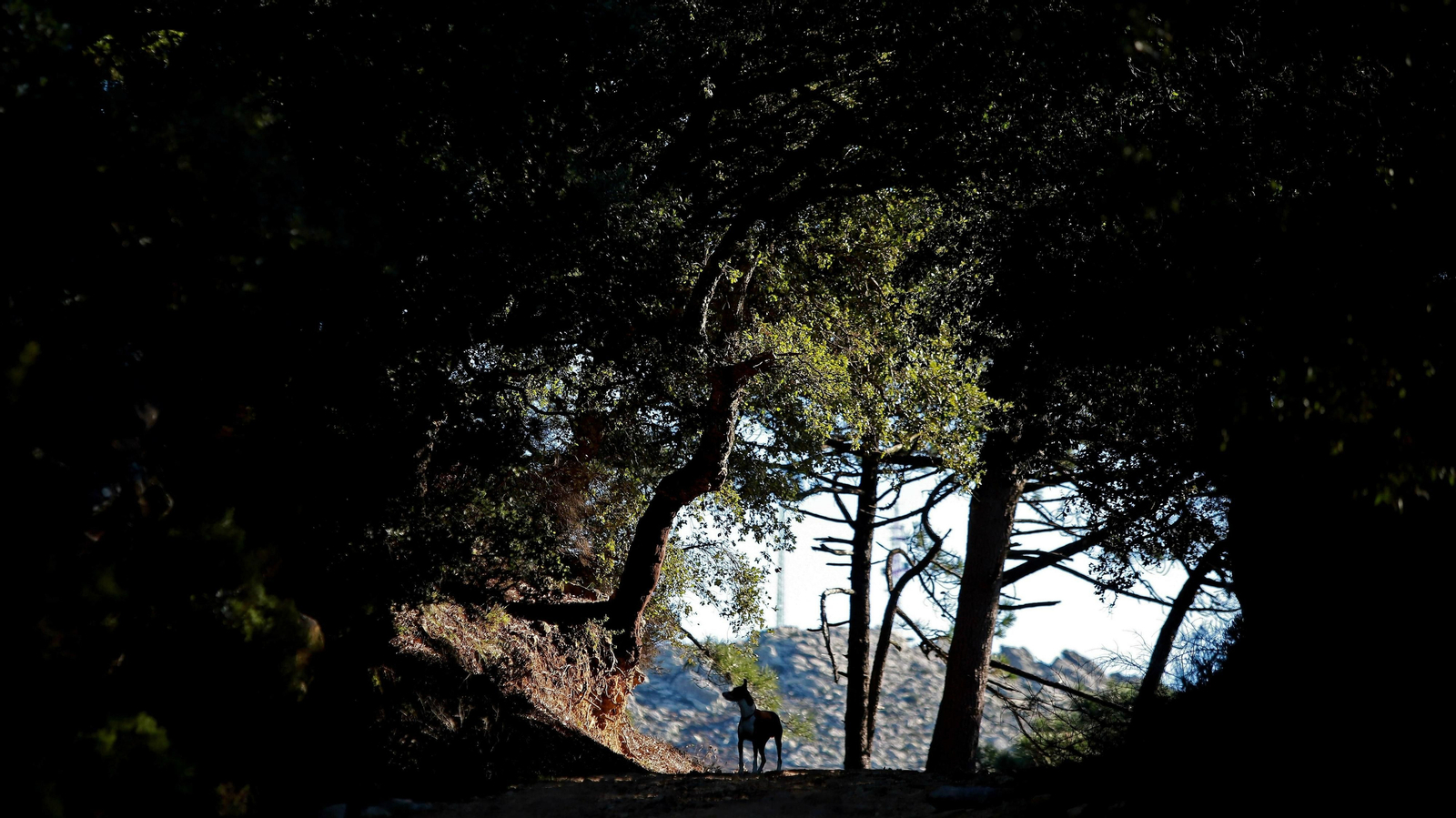 Las mejores fotos del Tajo de las Escobas