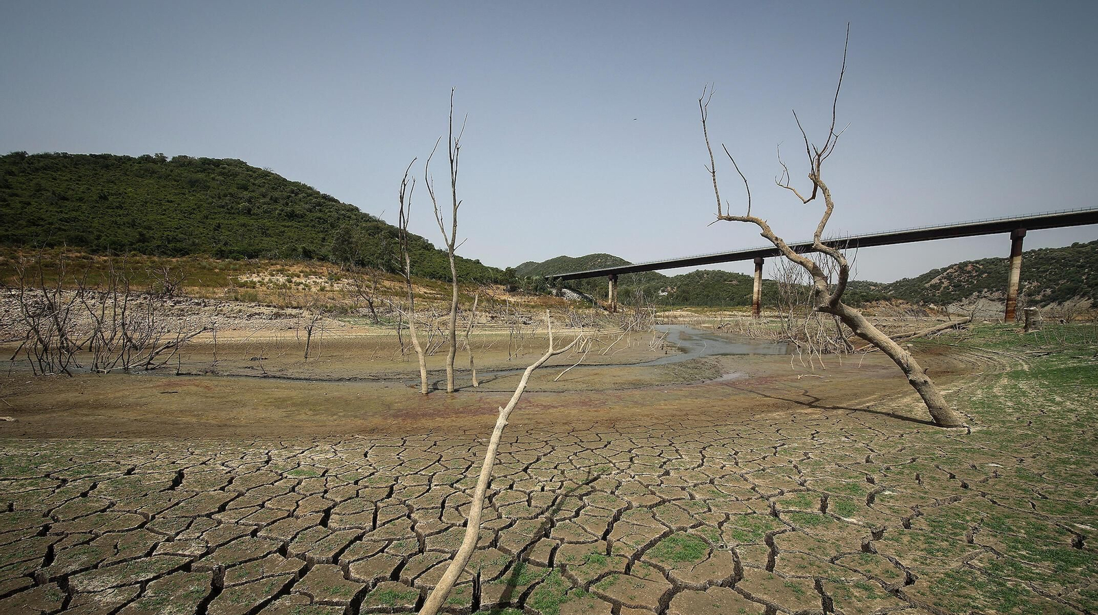Aspecto reciente del pantano de Guadalcacín.
