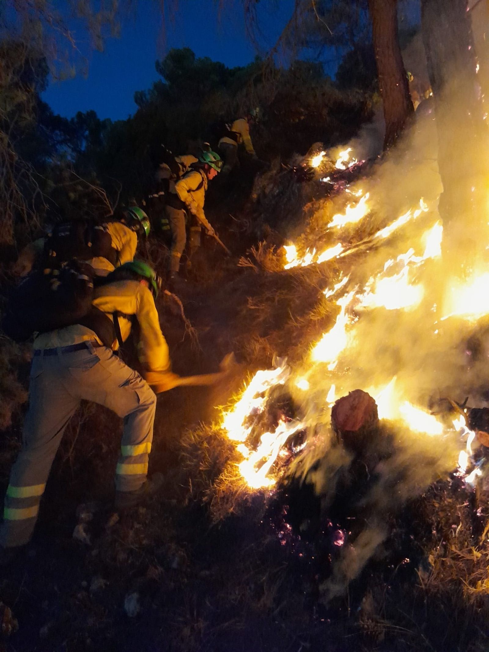 Bomberos del Infoca en el incendio de Los Guájares