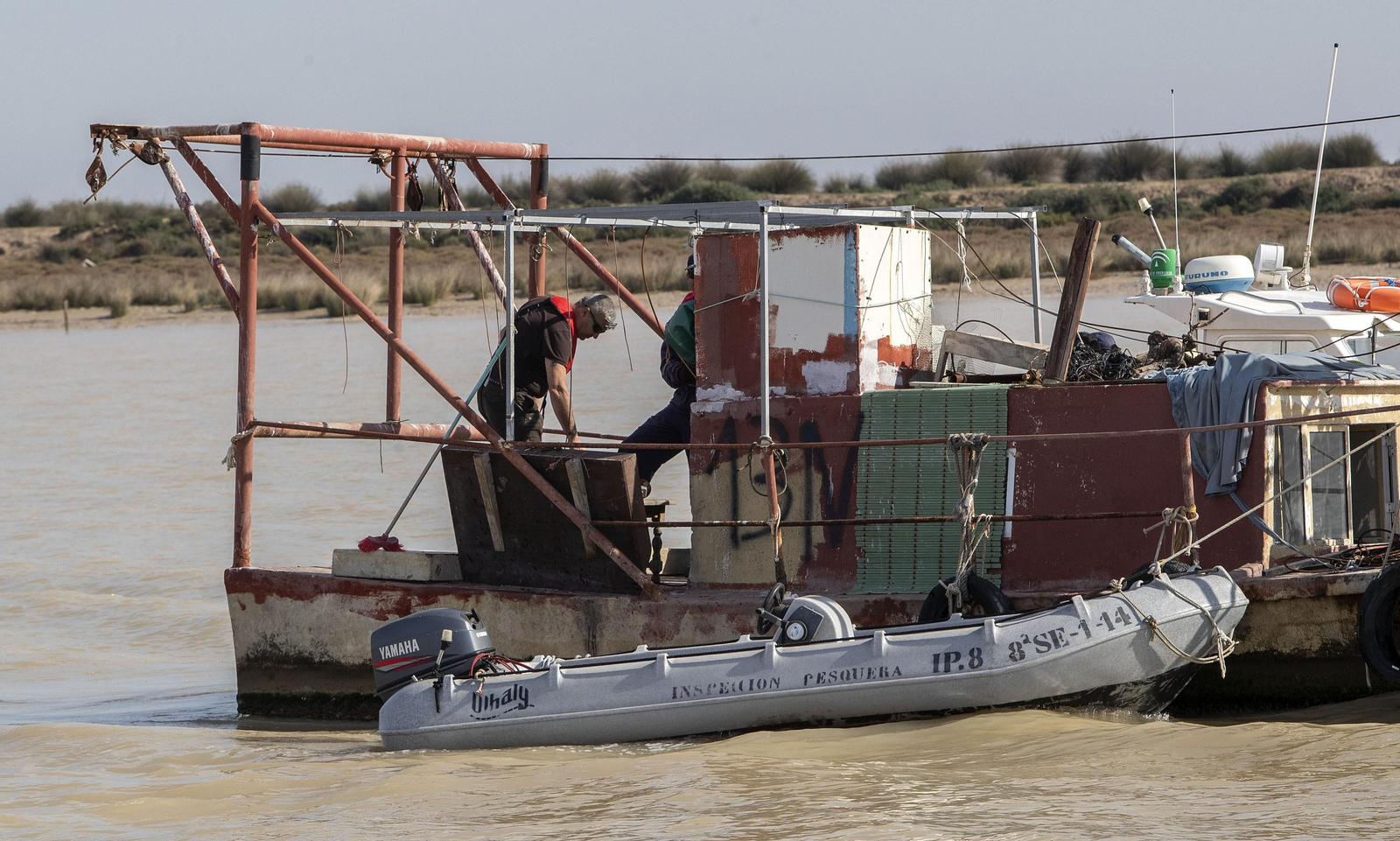 Operación Ave  fenix contra la pesca  de la angula