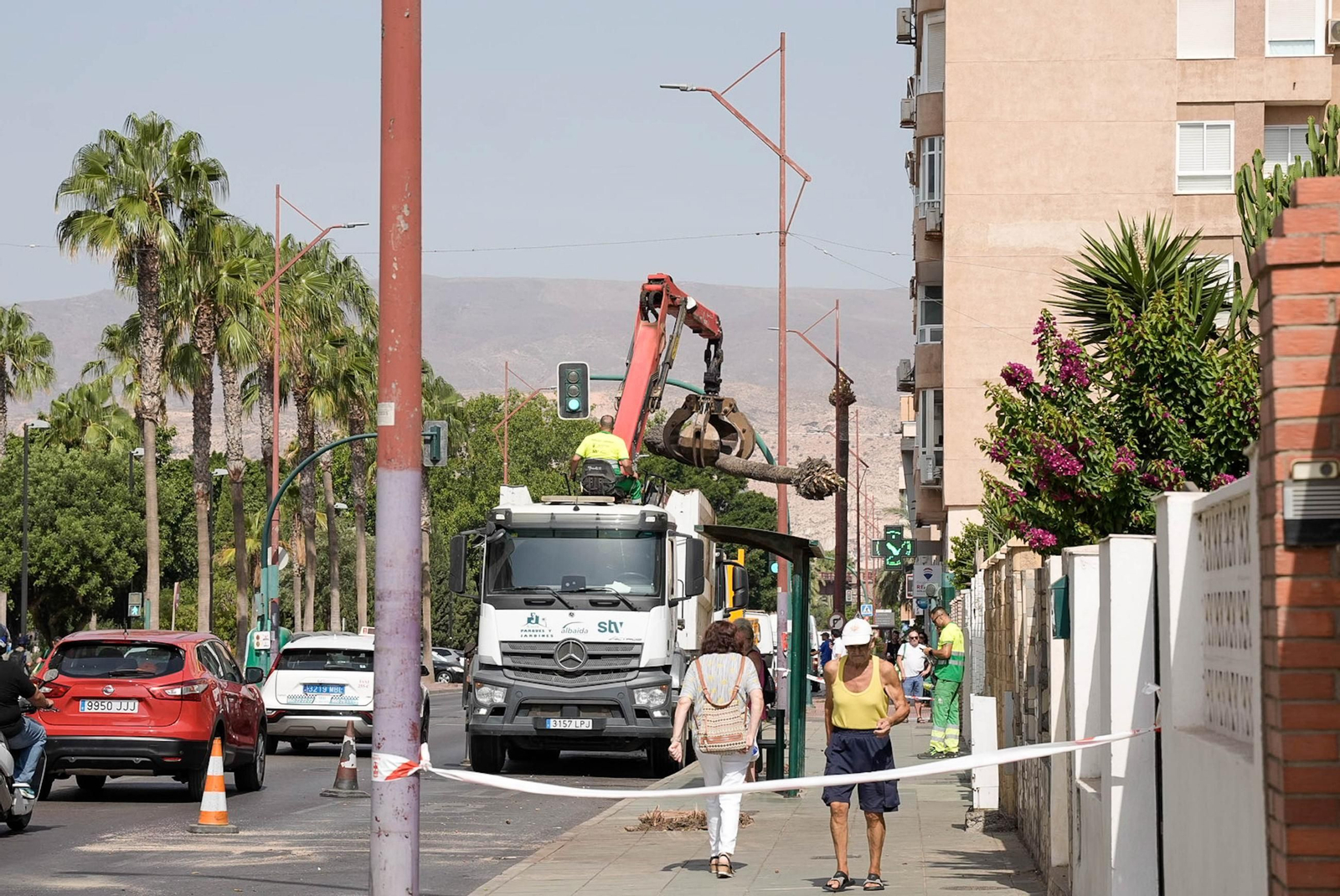 Completan la tala de palmeras de la avenida Cabo de Gata