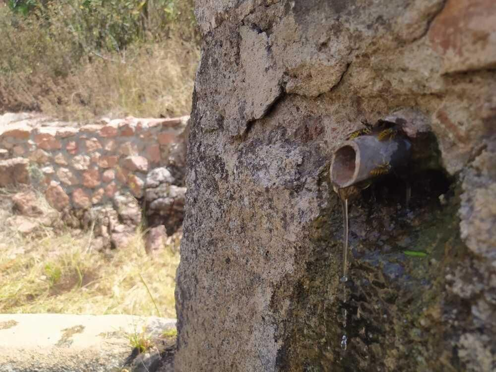 En imágenes, la ruta definitiva por las fuentes de Villaviciosa de Córdoba