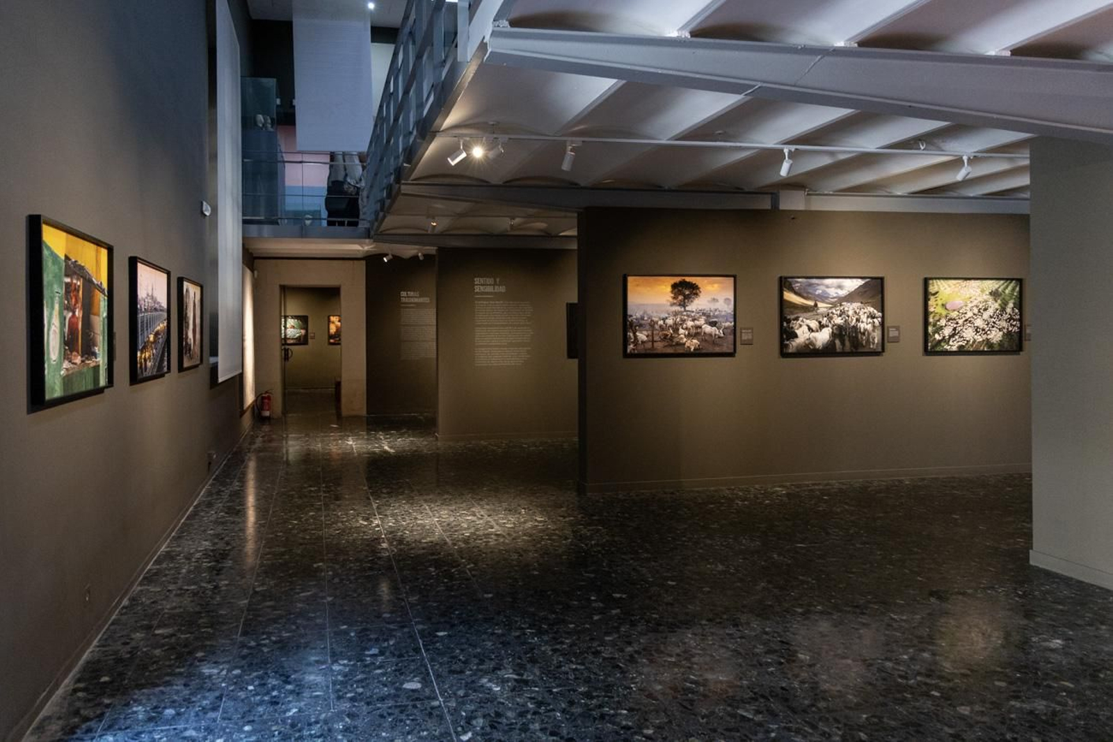 One Health en imágenes: la fotogalería de Katy Gómez que te hará reflexionar sobre la salud global