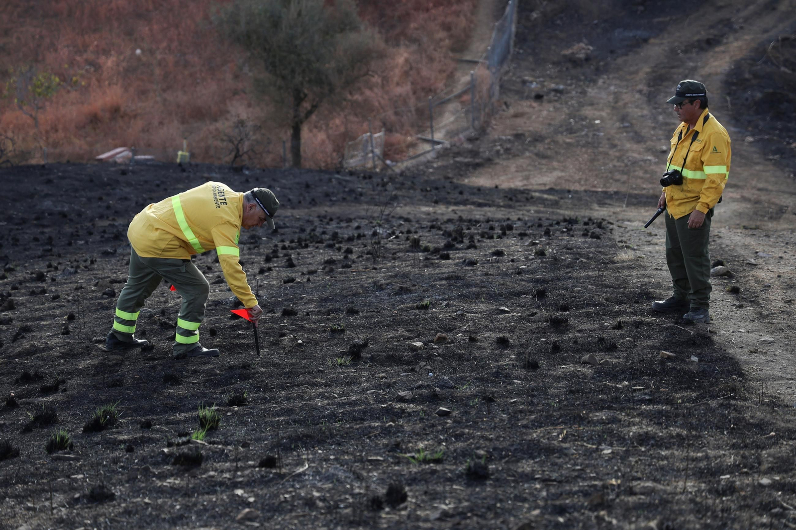 Eleuterio Tapia y Juan Carlos Moreno, agentes de Medio Ambiente, investigan la causa de un incendio en Mijas.