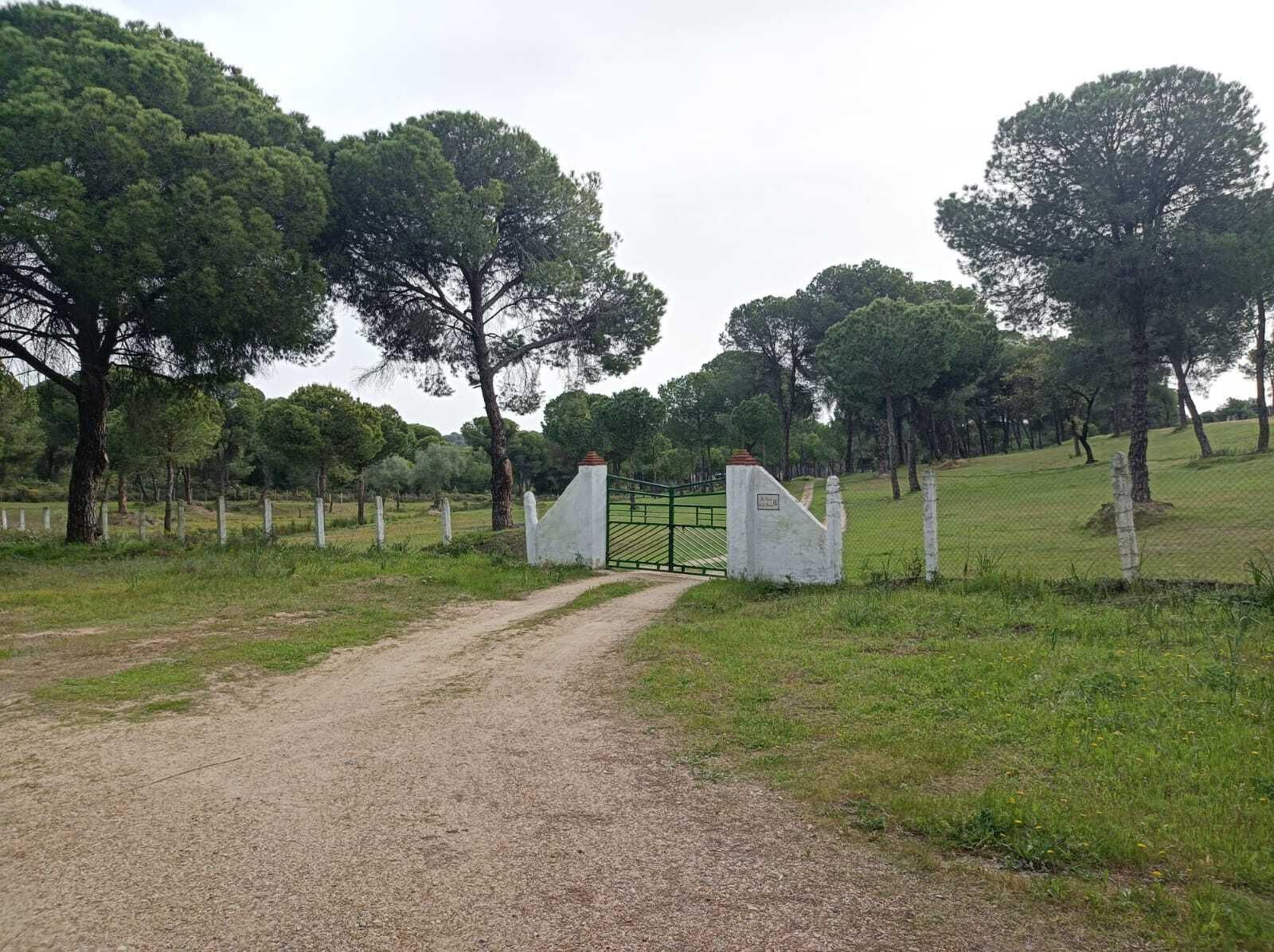 Pasamos ante varias cancelas de una finca.